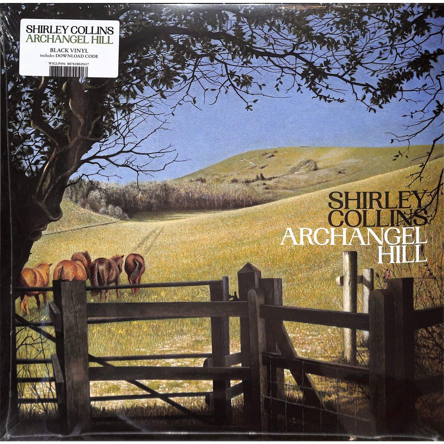  Shirley Collins - ARCHANGEL HILL 