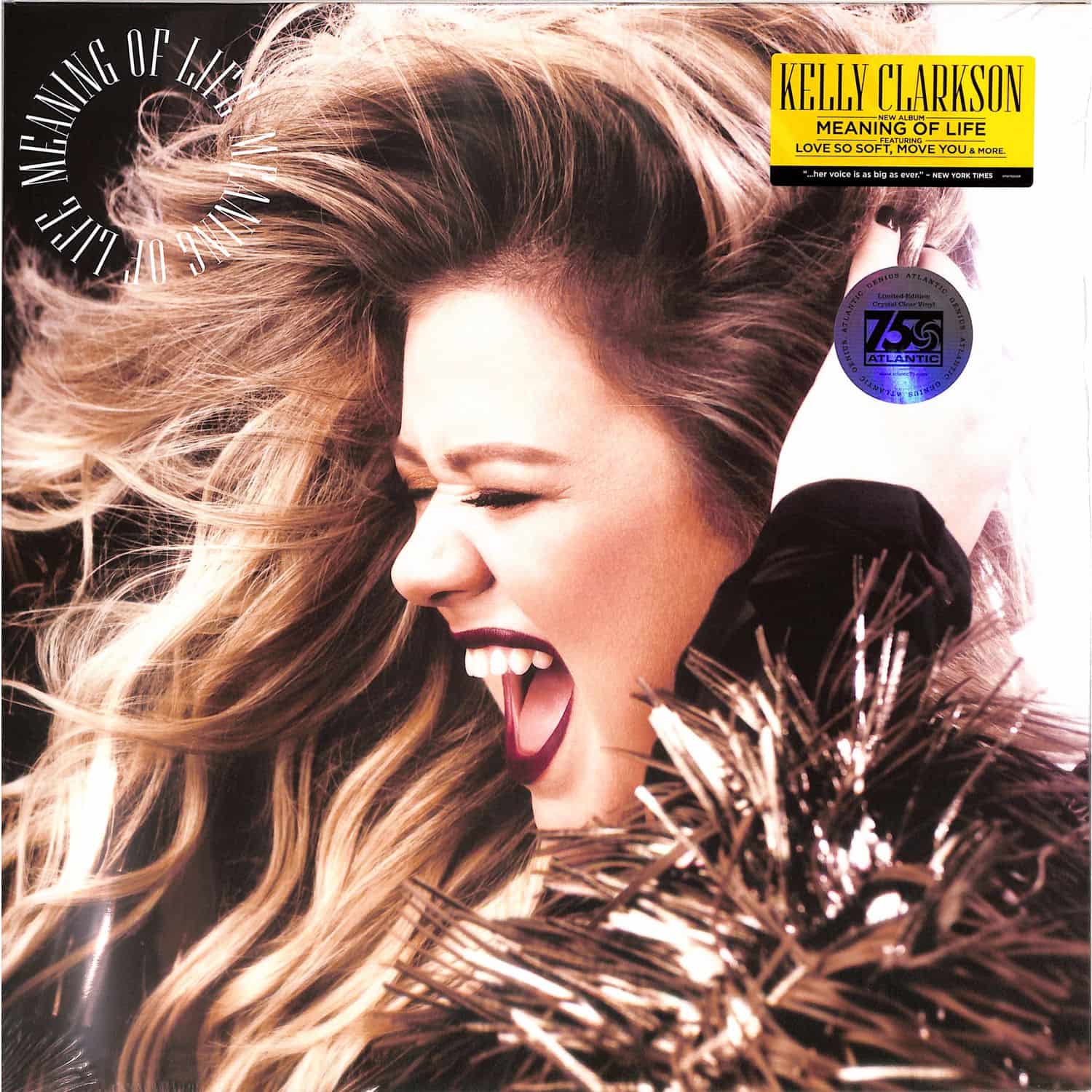 Kelly Clarkson - MEANING OF LIFE 