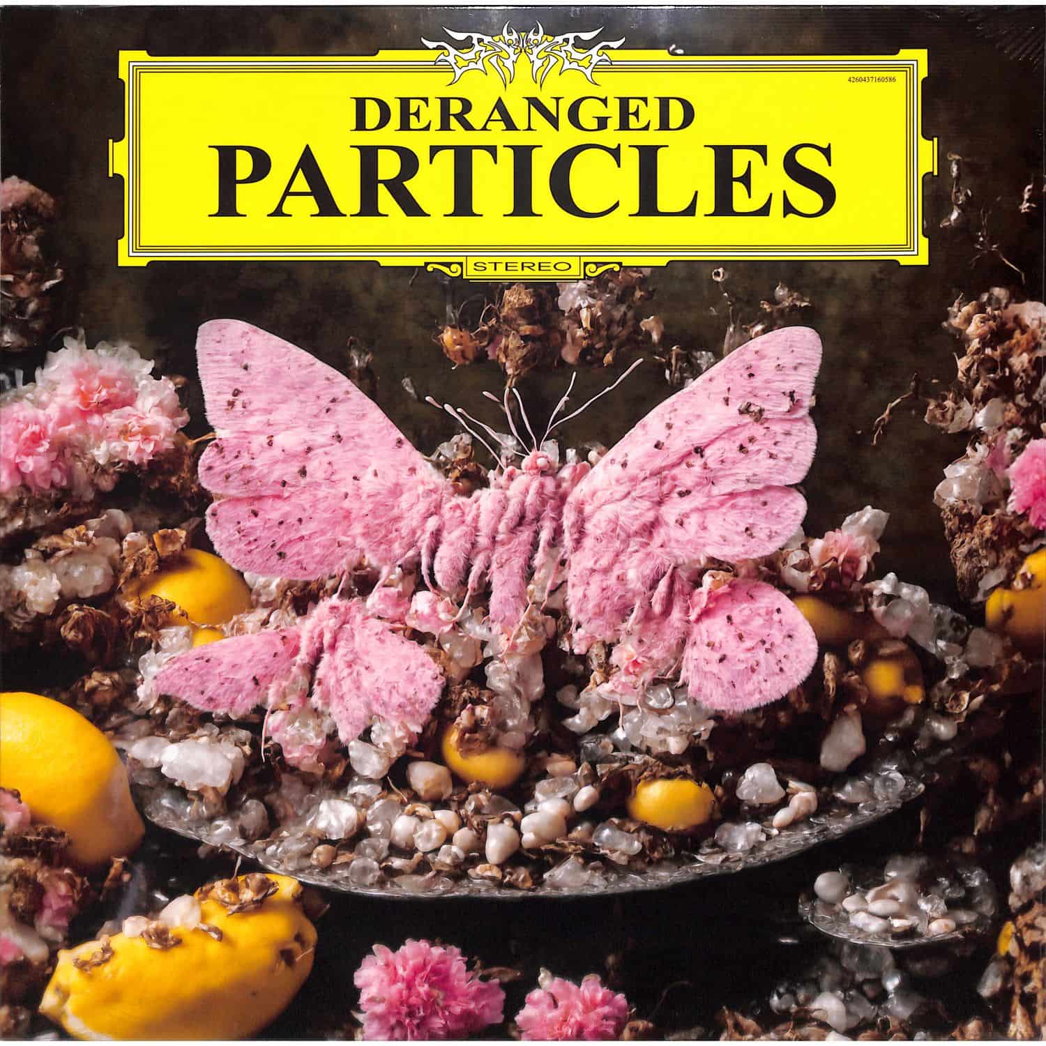 Felix Henkelhausen - DERANGED PARTICLES 