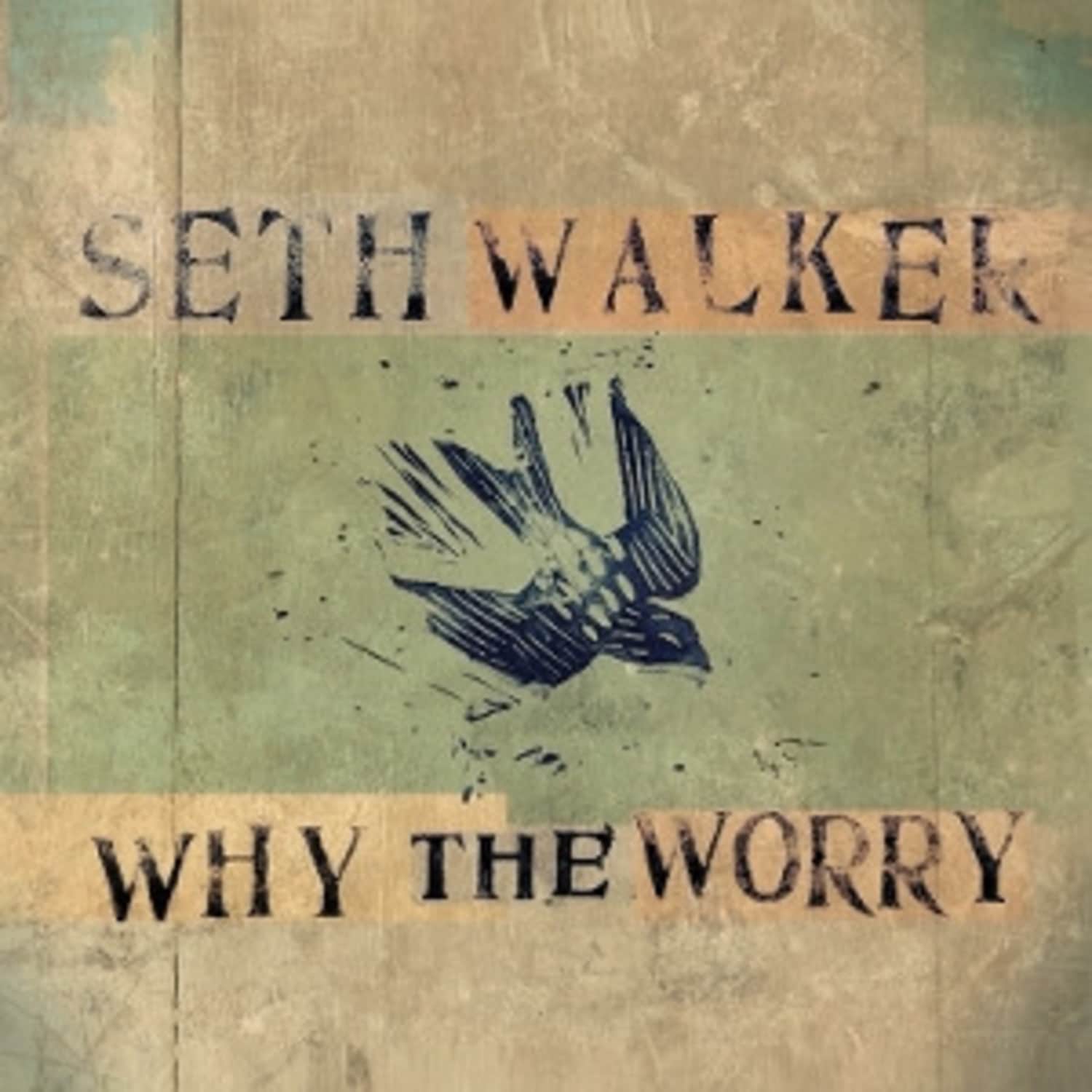 Seth Walker - WHY THE WORRY 