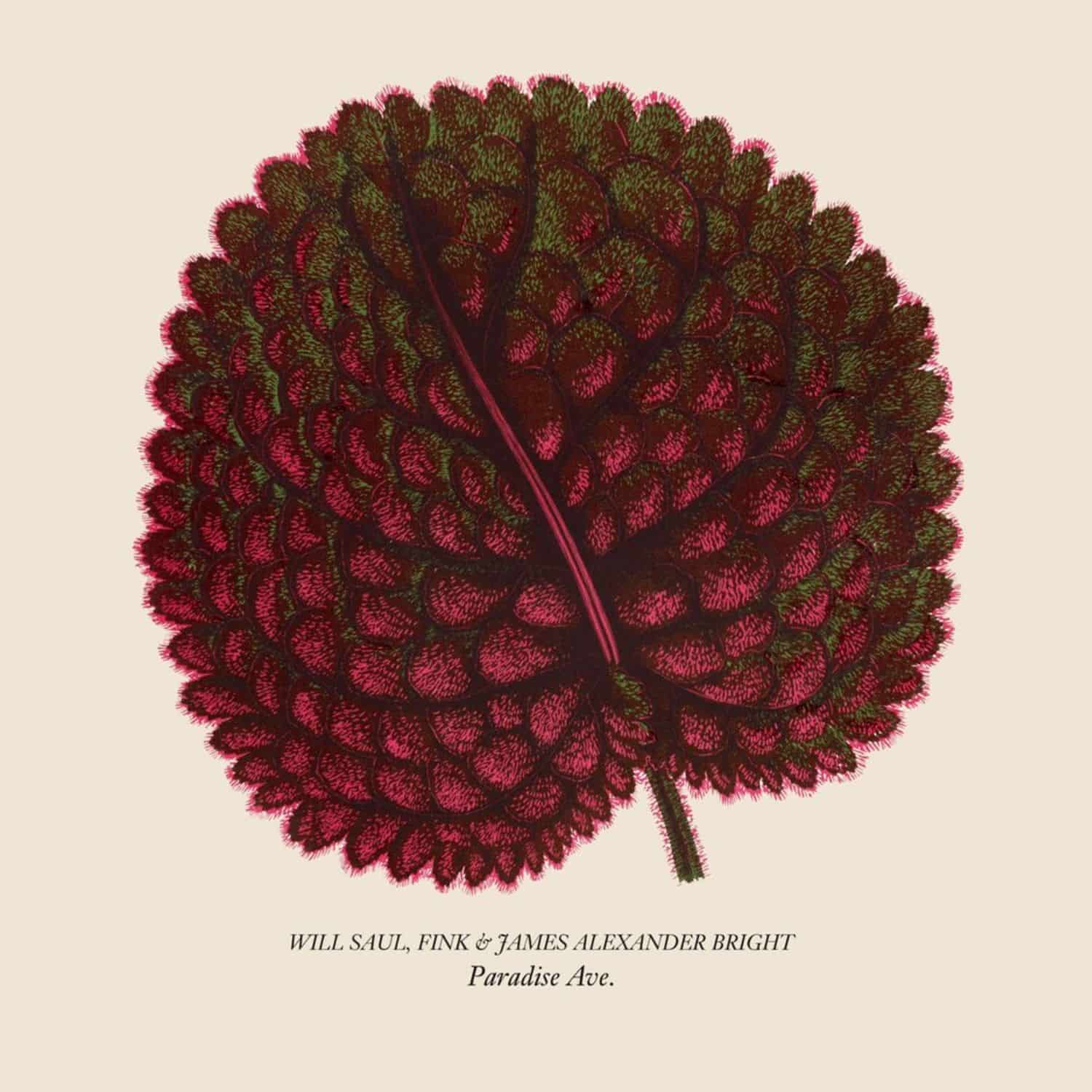 Will Saul, Fink & James Alexander Bright - PARADISE AVE 