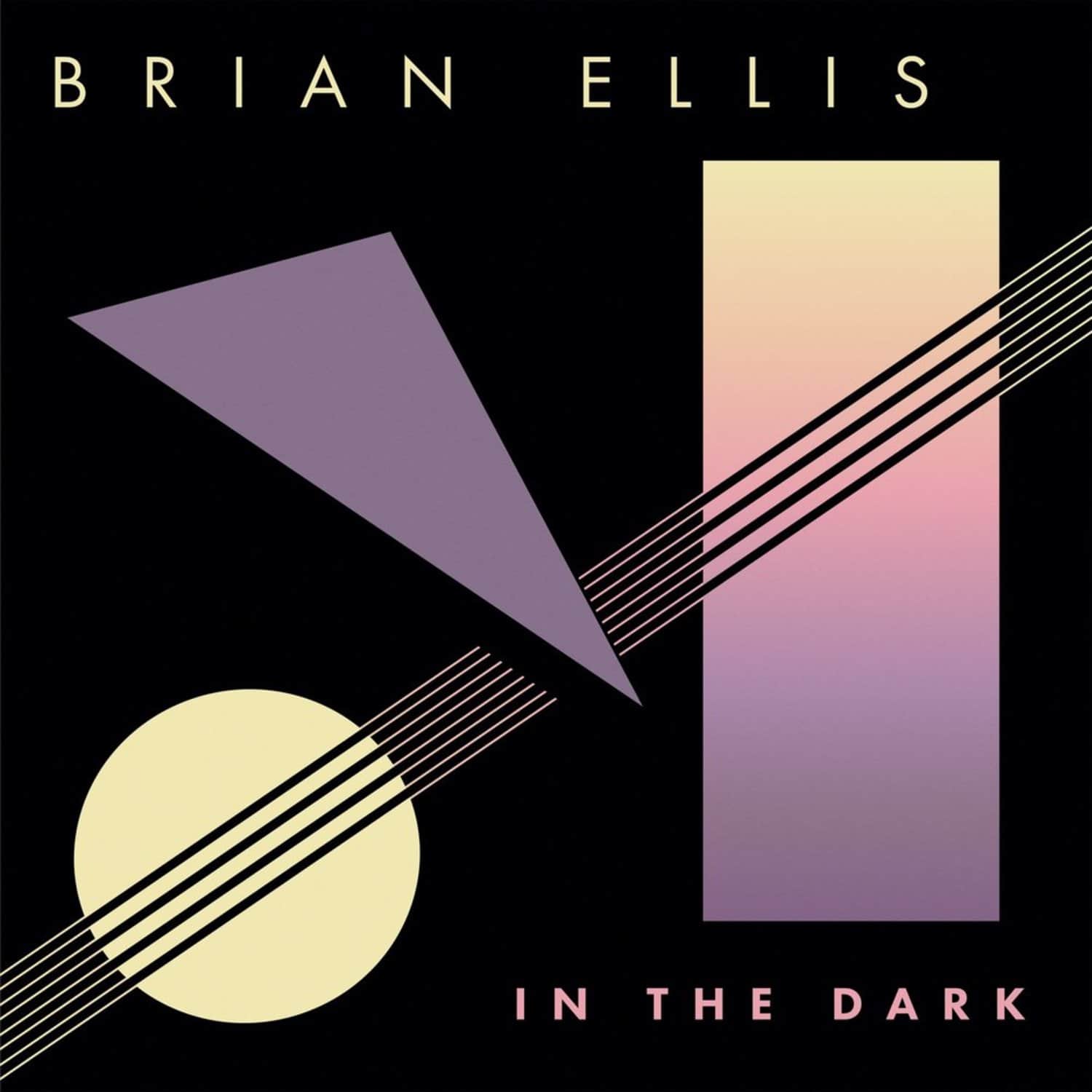 Brian Ellis - IN THE DARK 