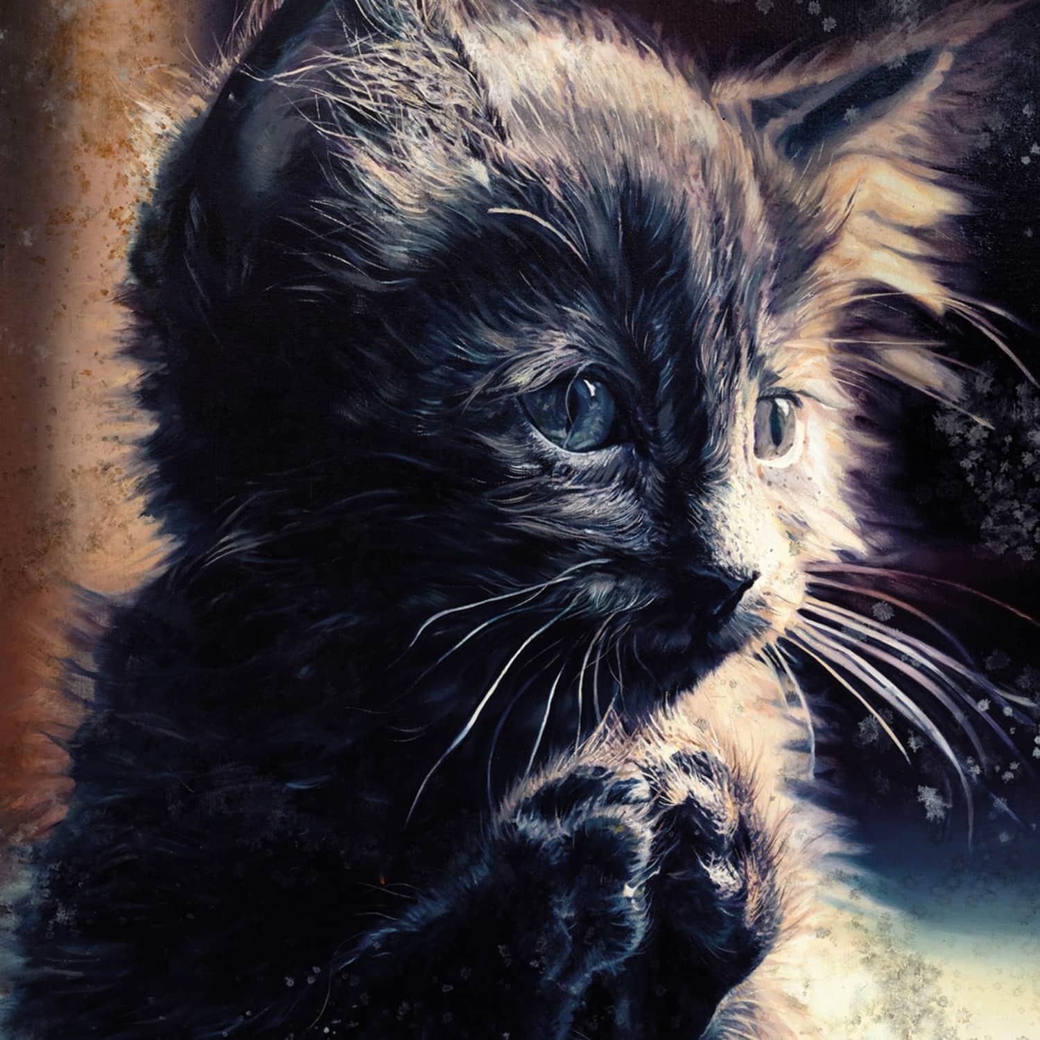 Perzeptiverdampfkesselqualmtbesinnlich - PUSSY DISCO