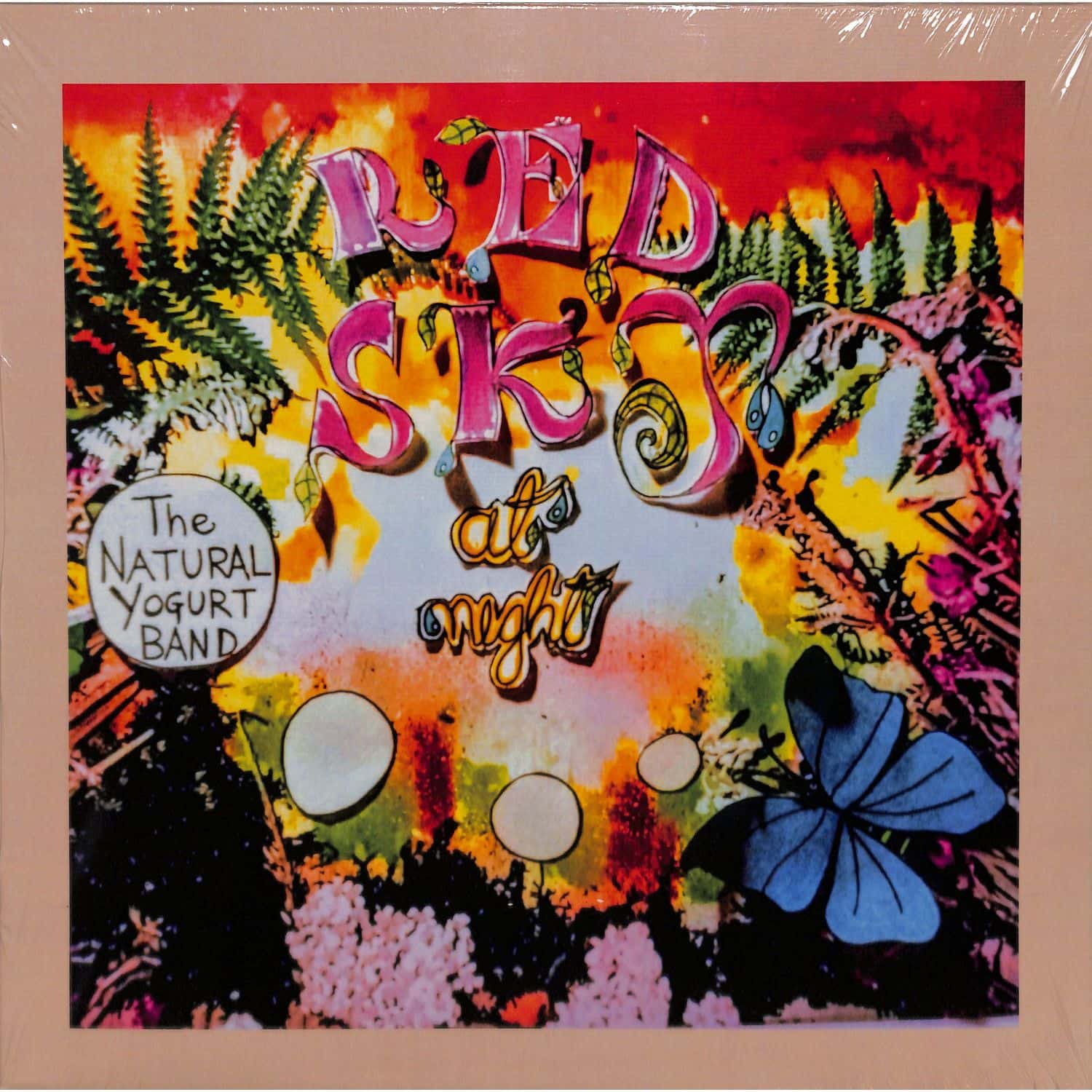 The Natural Yogurt Band - RED SKY AT NIGHT