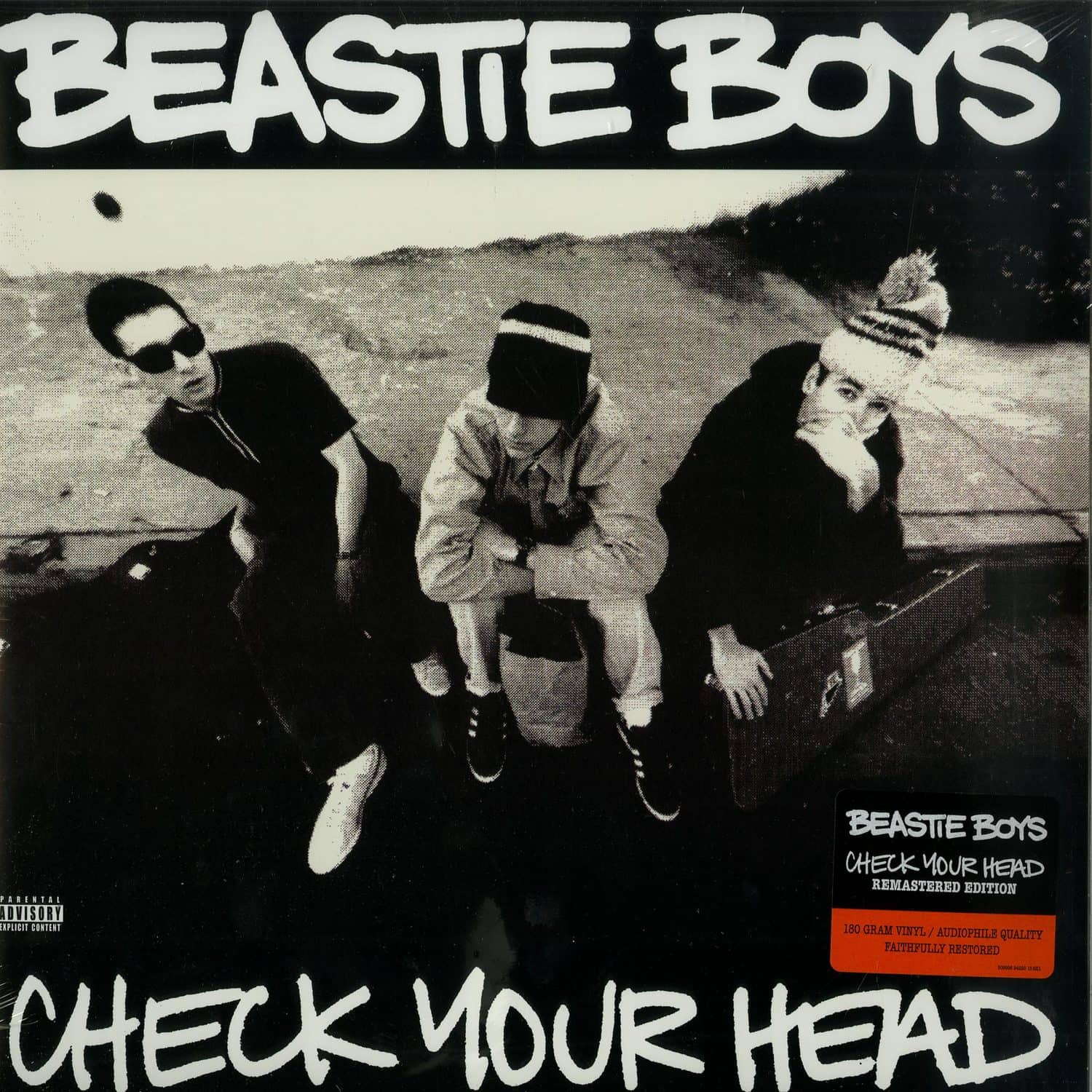 Beastie Boys - CHECK YOUR HEAD 