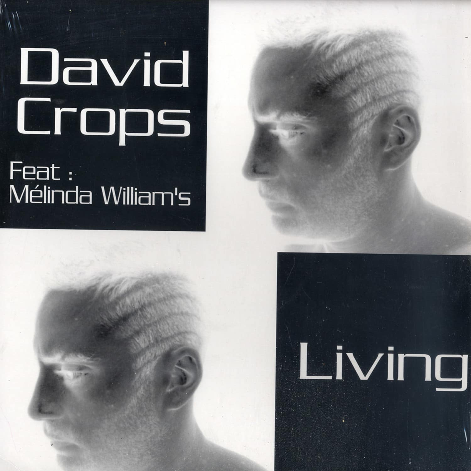 David Crops feat. Melinda Williams - LIVING
