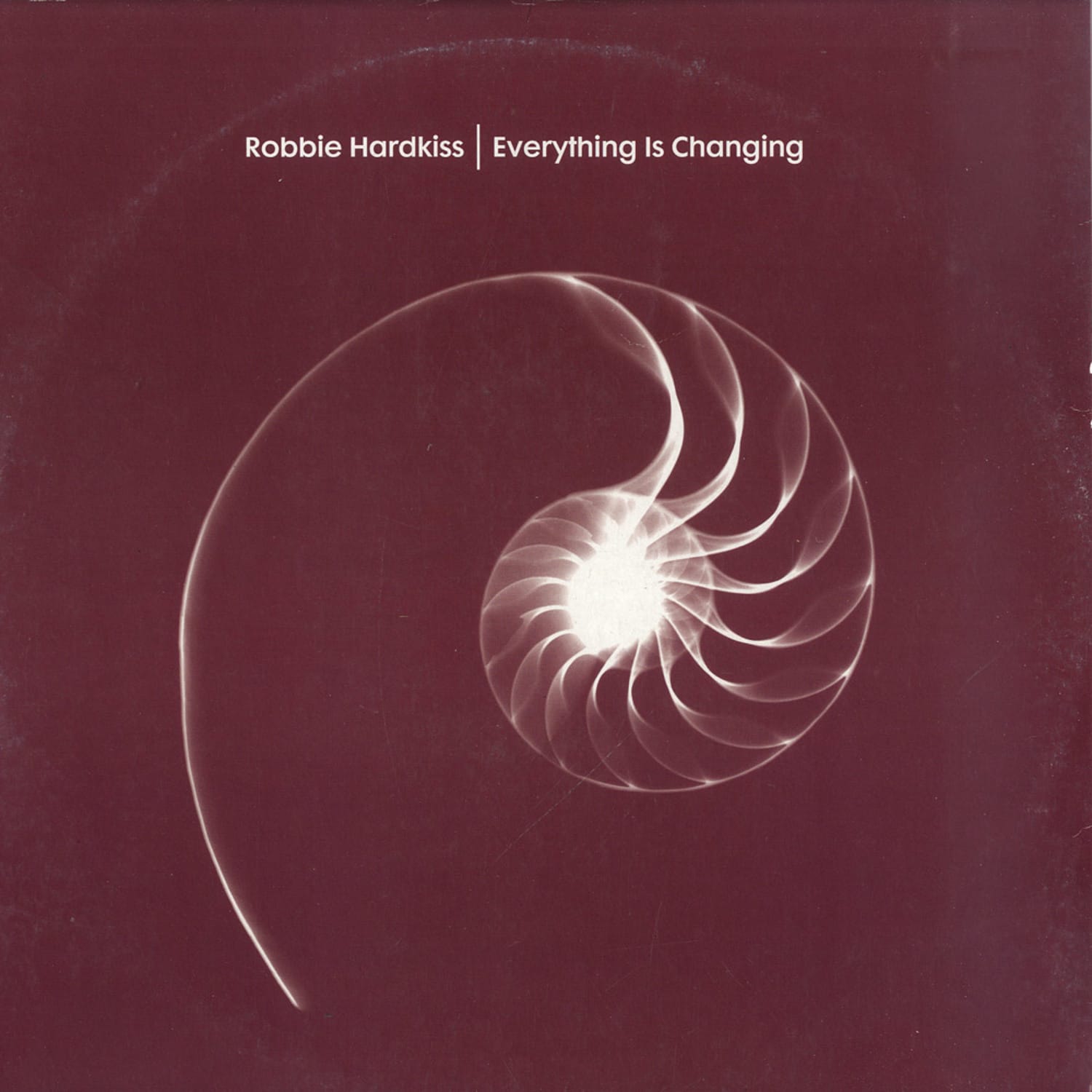 Robbie Hardkiss - EVERYTHING IS CHANGING 