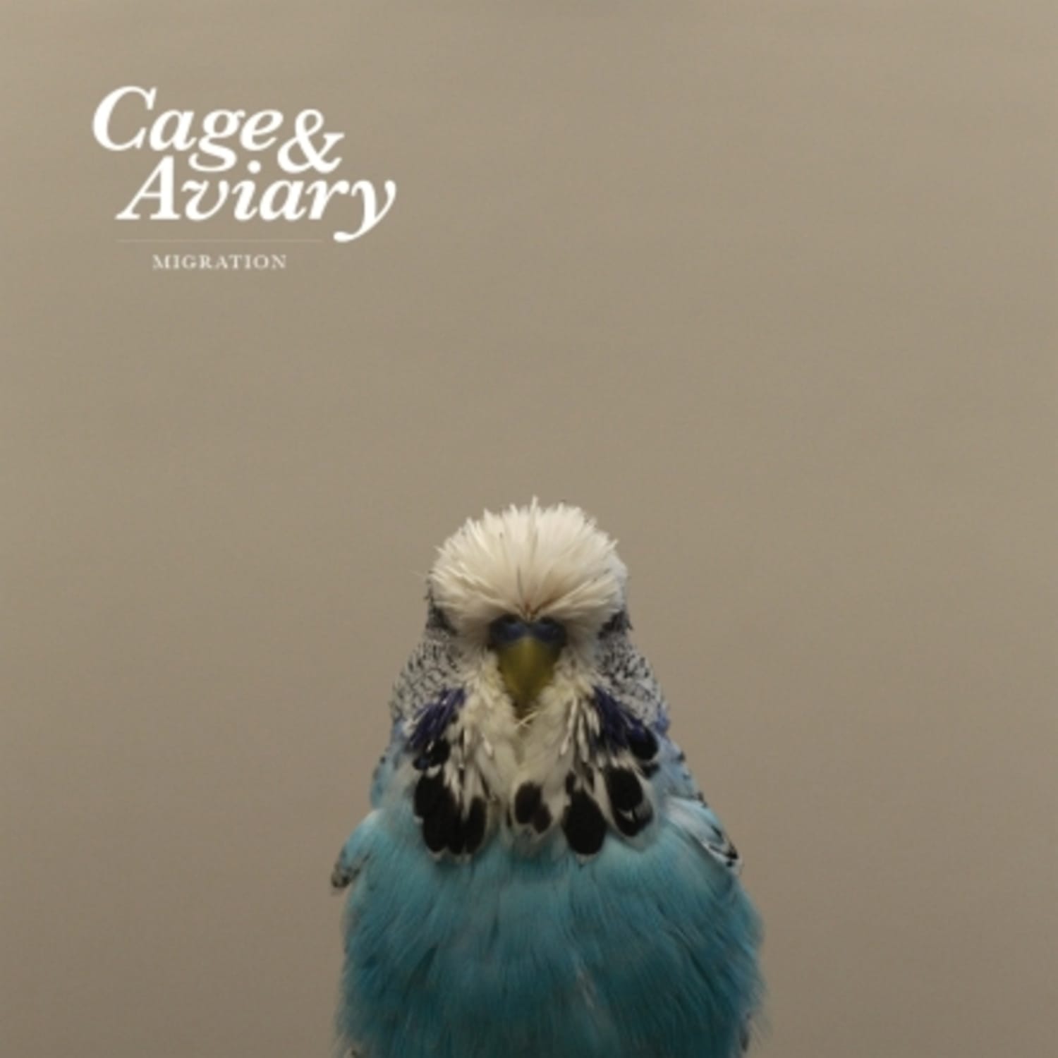 Cage & Aviary - MIGRATION 