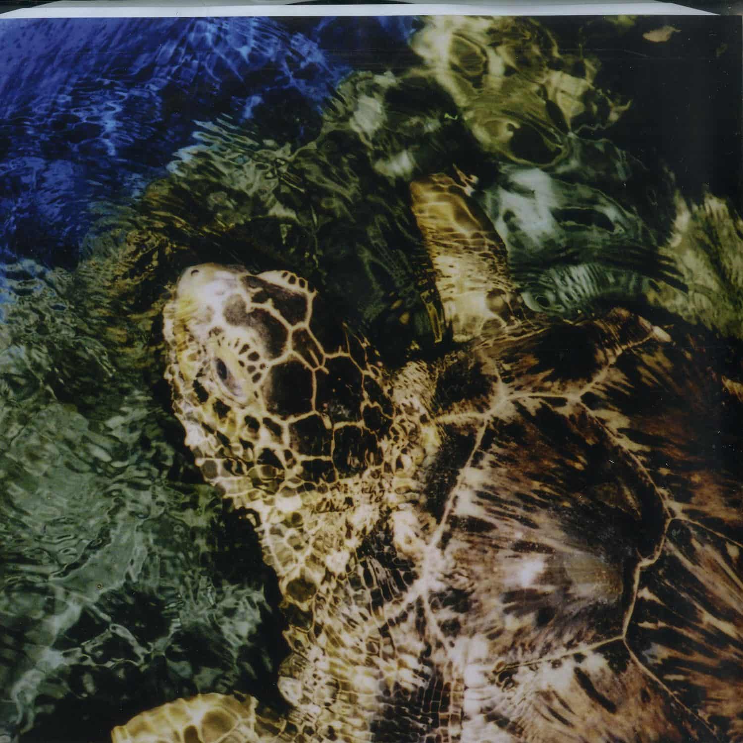 Benjamin Roeder & Max Josef - SUGAR STEADY