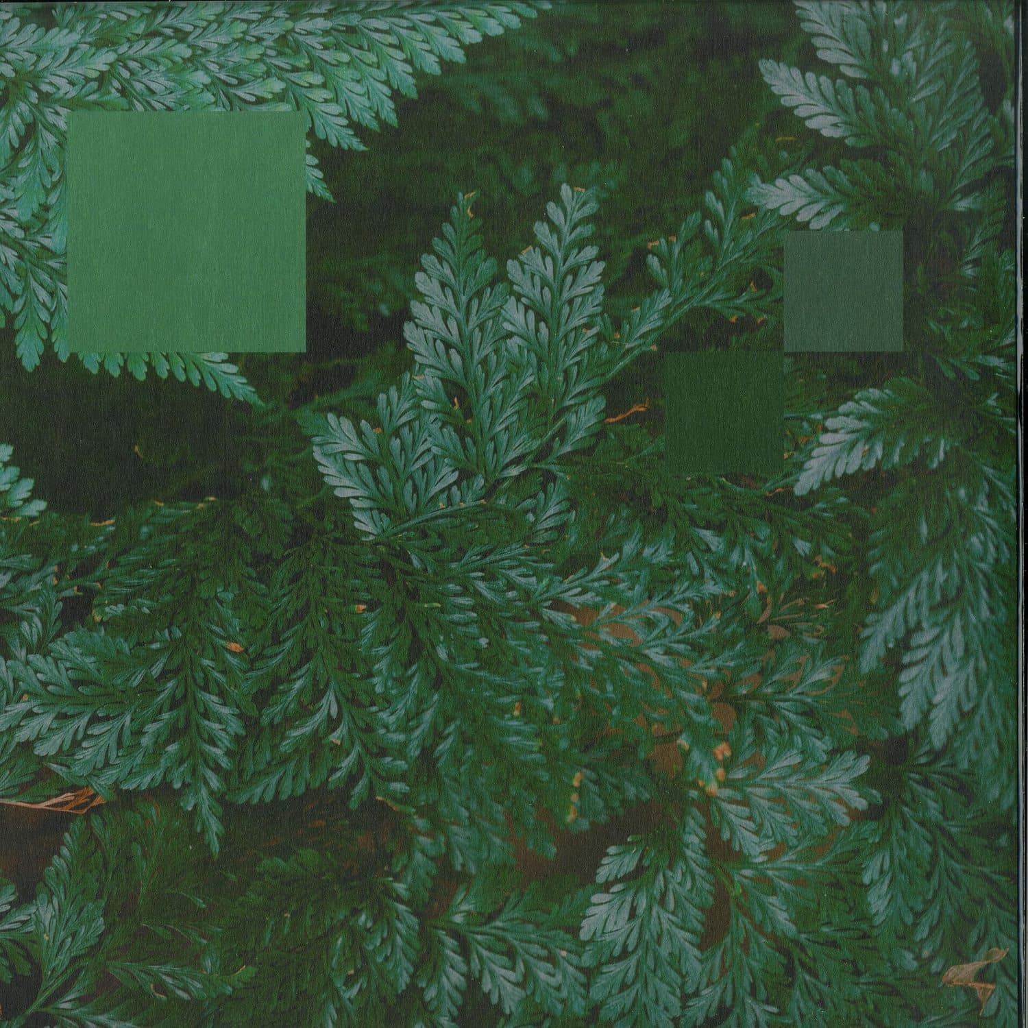 Nebraska - METAPHOR TO THE FLOOR EP 