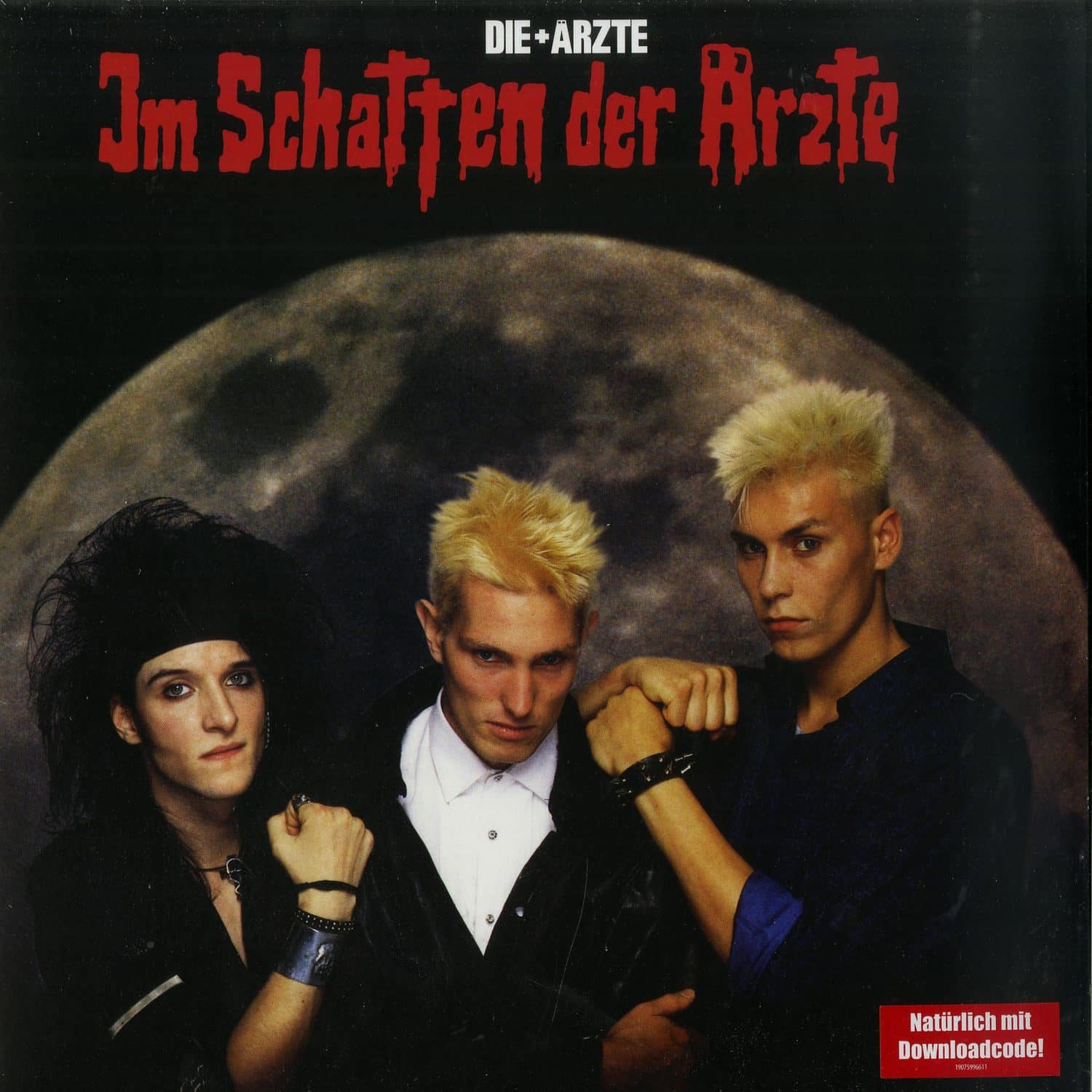 Die rzte - IM SCHATTEN DER RZTE 