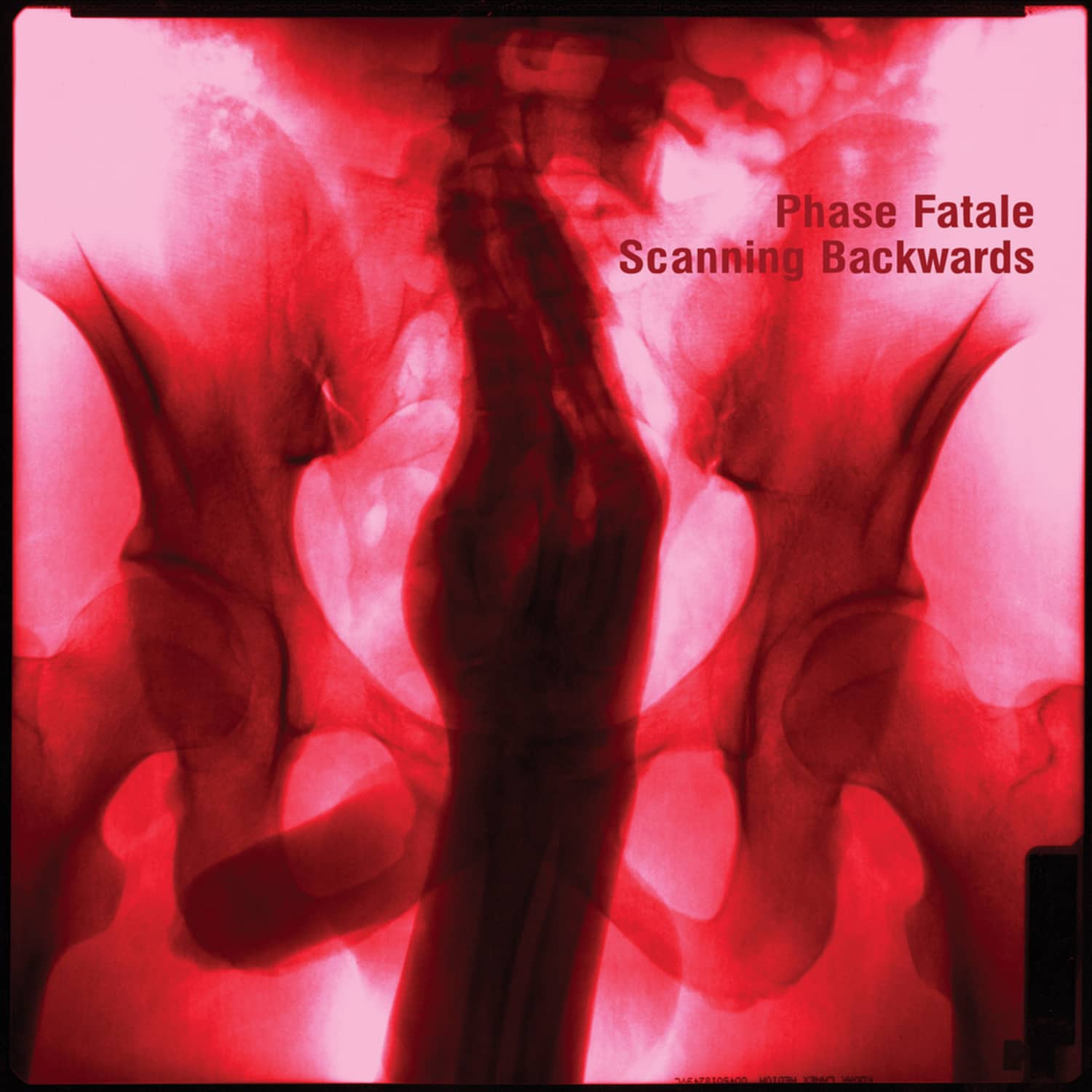 Phase Fatale - SCANNING BACKWARDS 