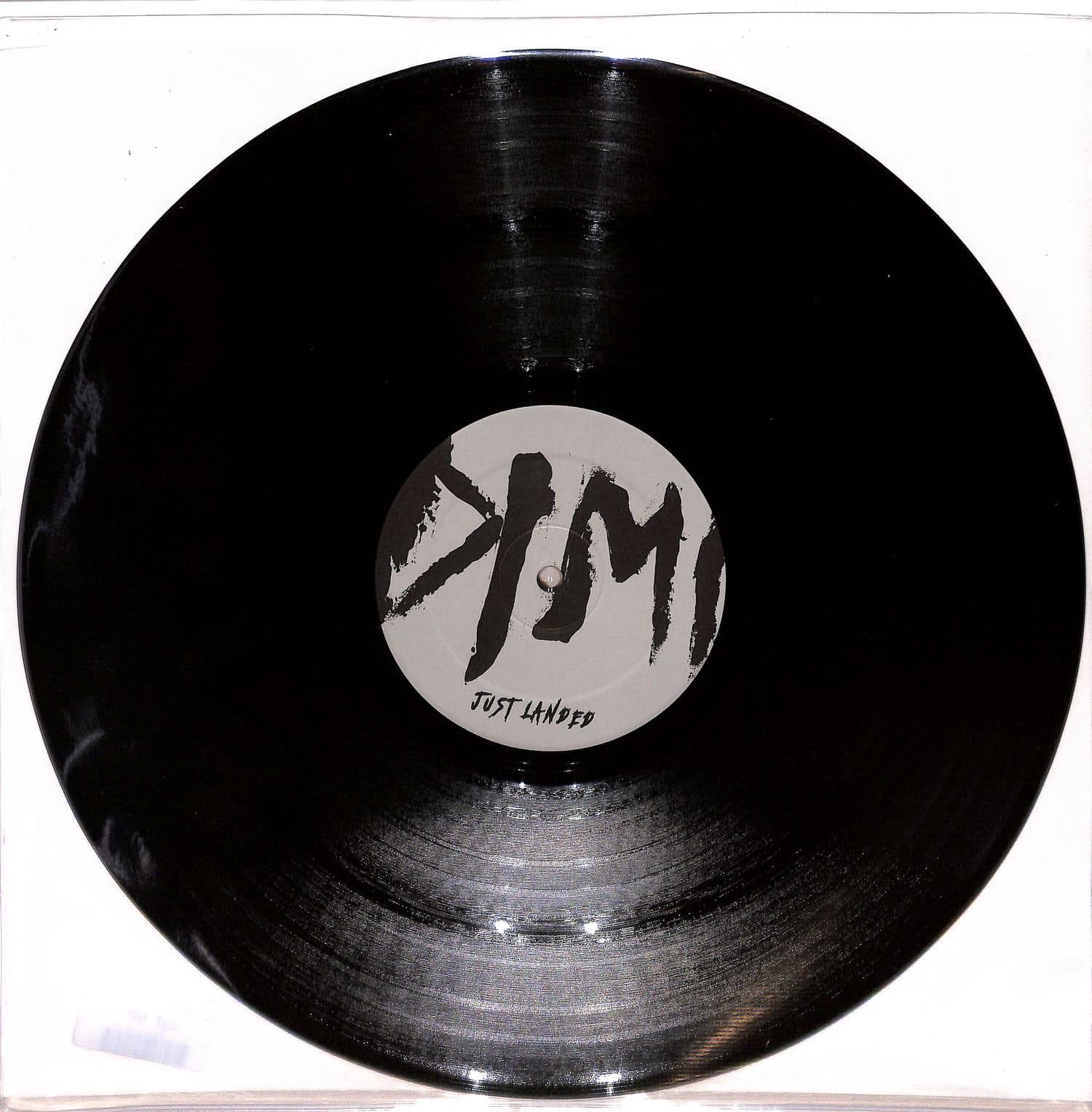 DIMI - JUST LANDED