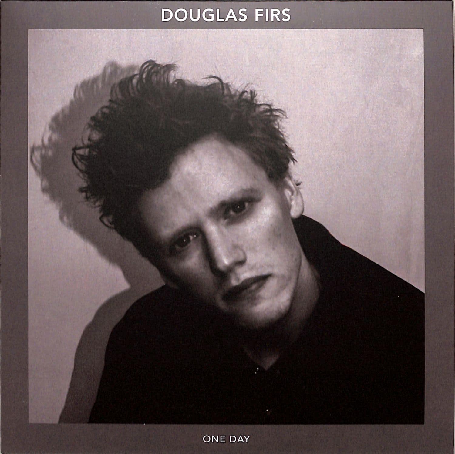 Douglas Firs - ONE DAY 