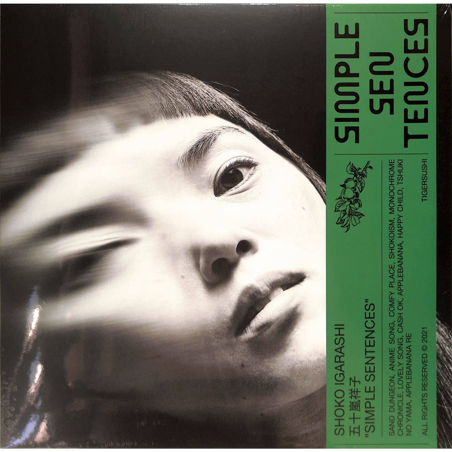 Shoko Igarashi - SIMPLE SENTENCES 