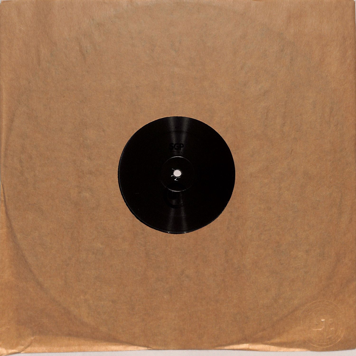 Solid Gold Playaz & Dark Matrix - THEORIES OF THE GHETTO VOLUME THREE: BLACK FUTURISM