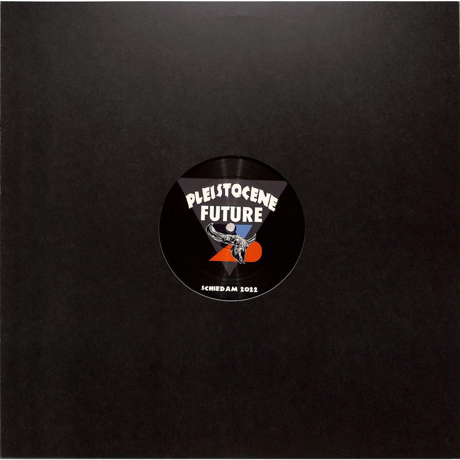 Bas Mooy - PLEISTOCENE FUTURE 2