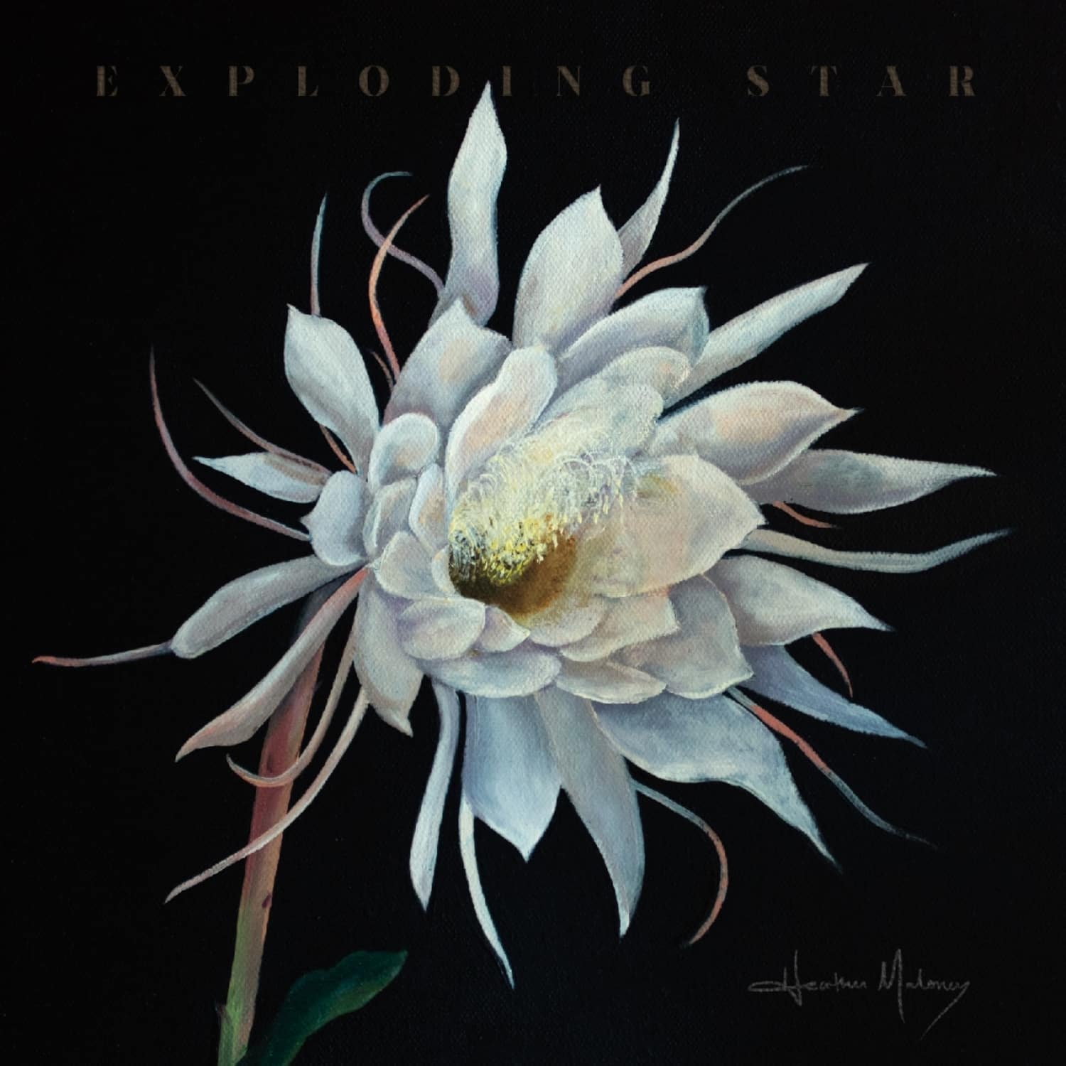 Heather Maloney - EXPLODING STAR 