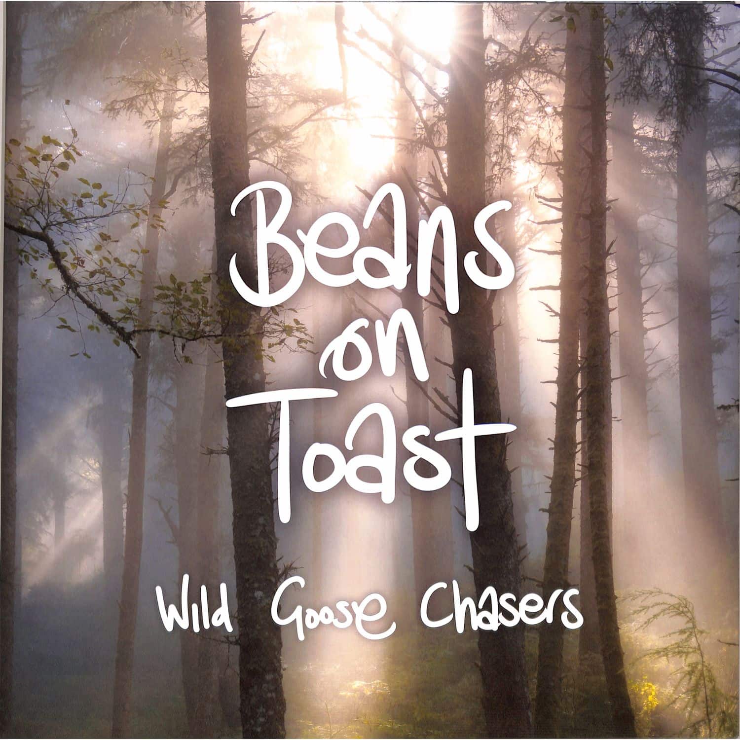 Beans On Toast - WILD GOOSE CHASERS 