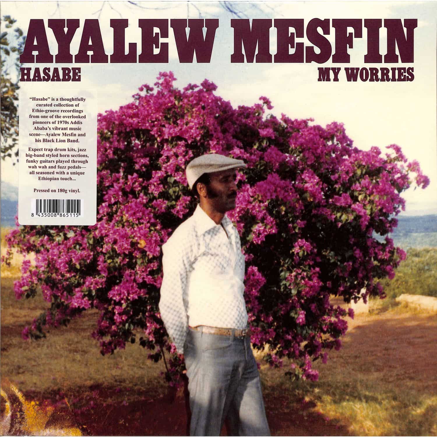 Ayalew Mesfin - HASABE - MY WORRIES 