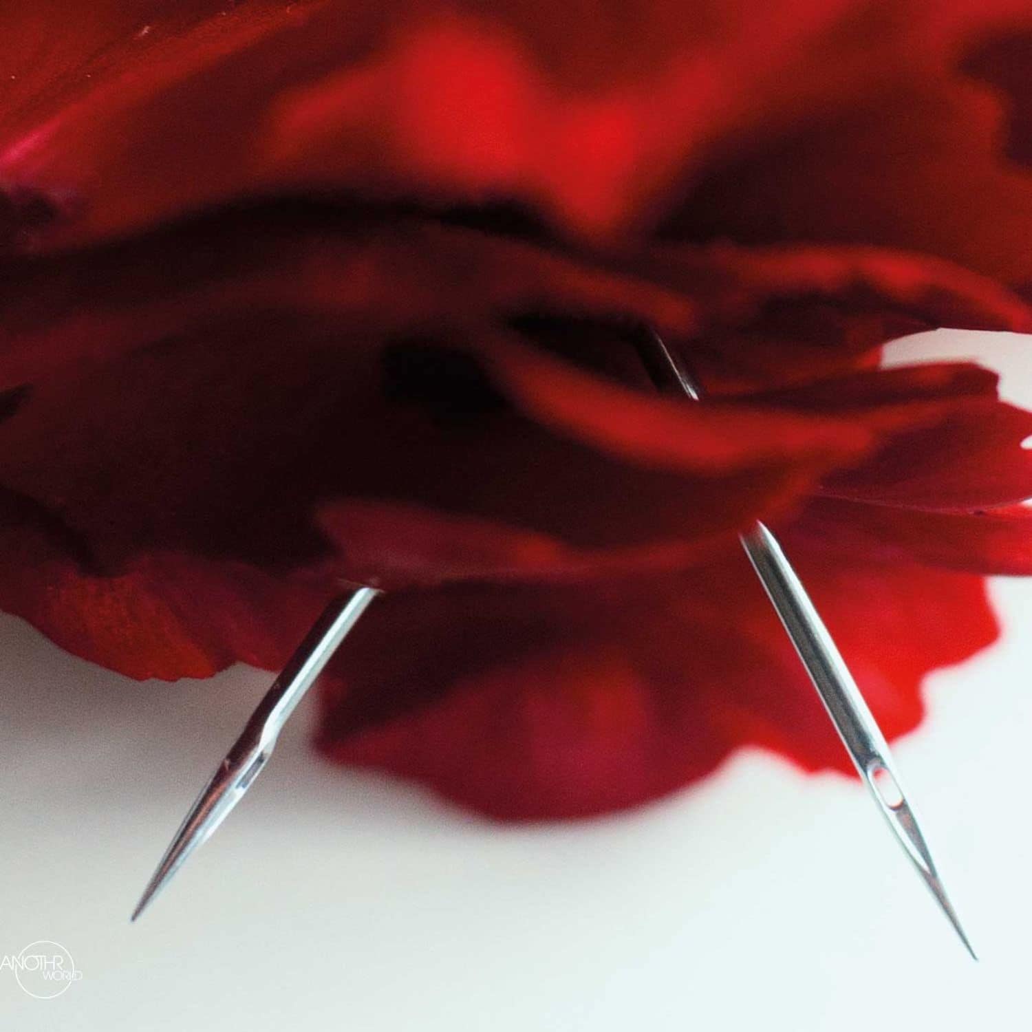 Rostøm, Tauceti, Kaiser - CARNE