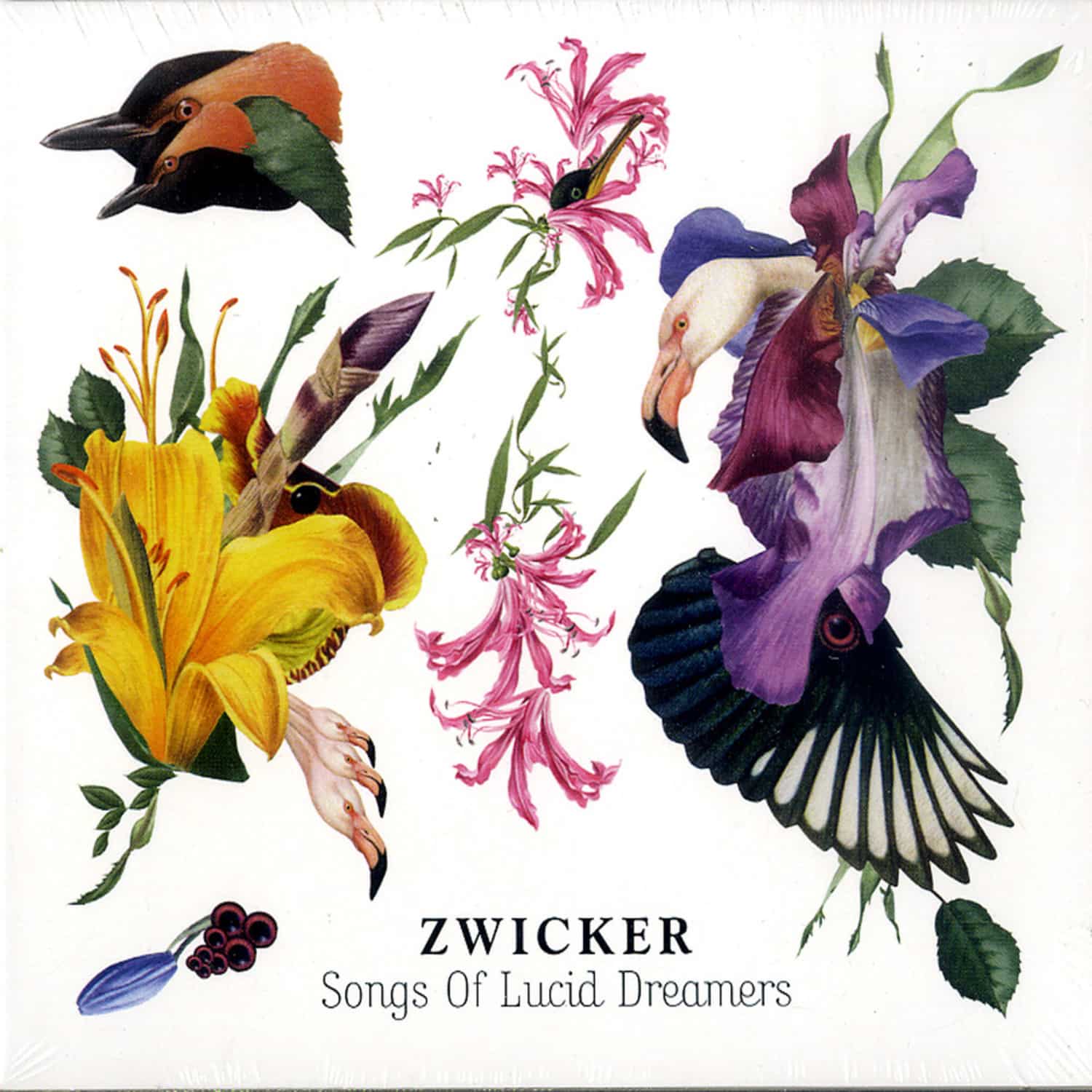Zwicker - SONGS OF LUCID DREAMER 