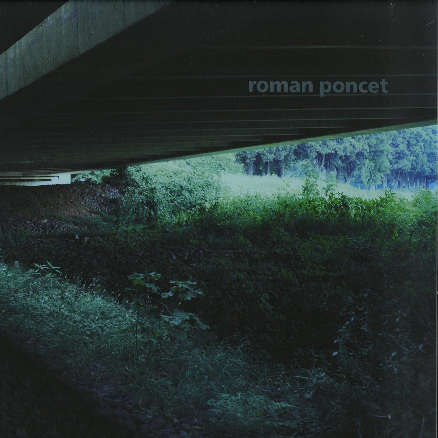 Roman Poncet - MARGUERITE
