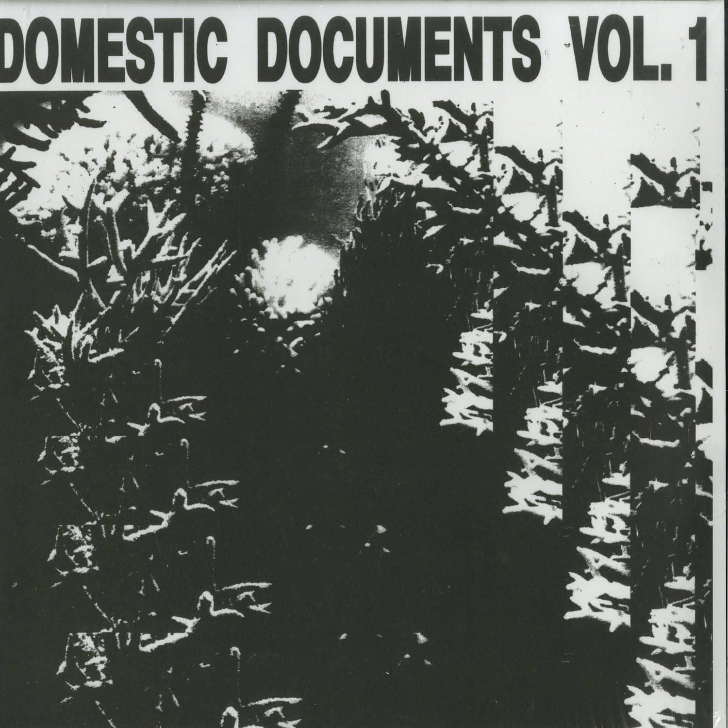 Various Artists - DOMESTIC DOCUMENTS VOLUME 1 