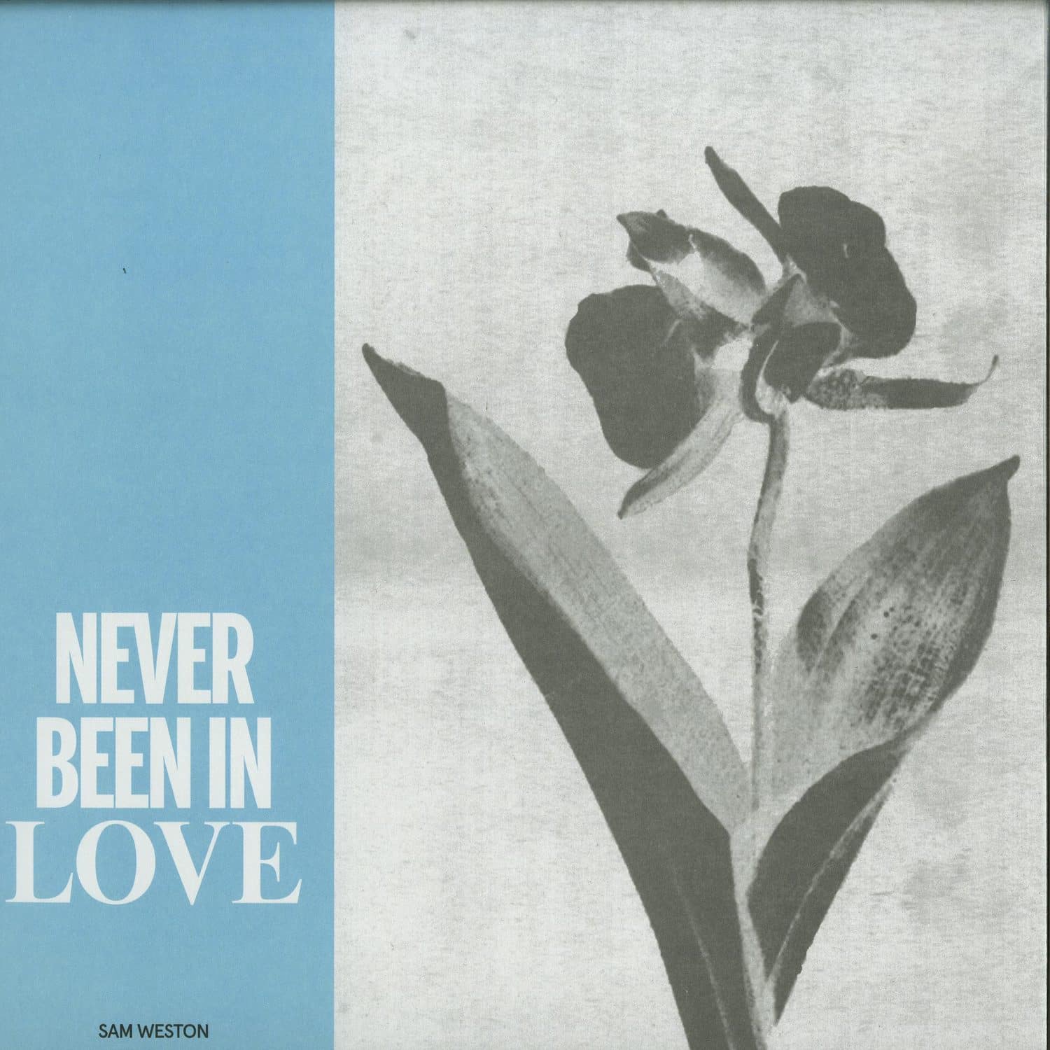 Sam Weston - NEVER BEEN IN LOVE EP