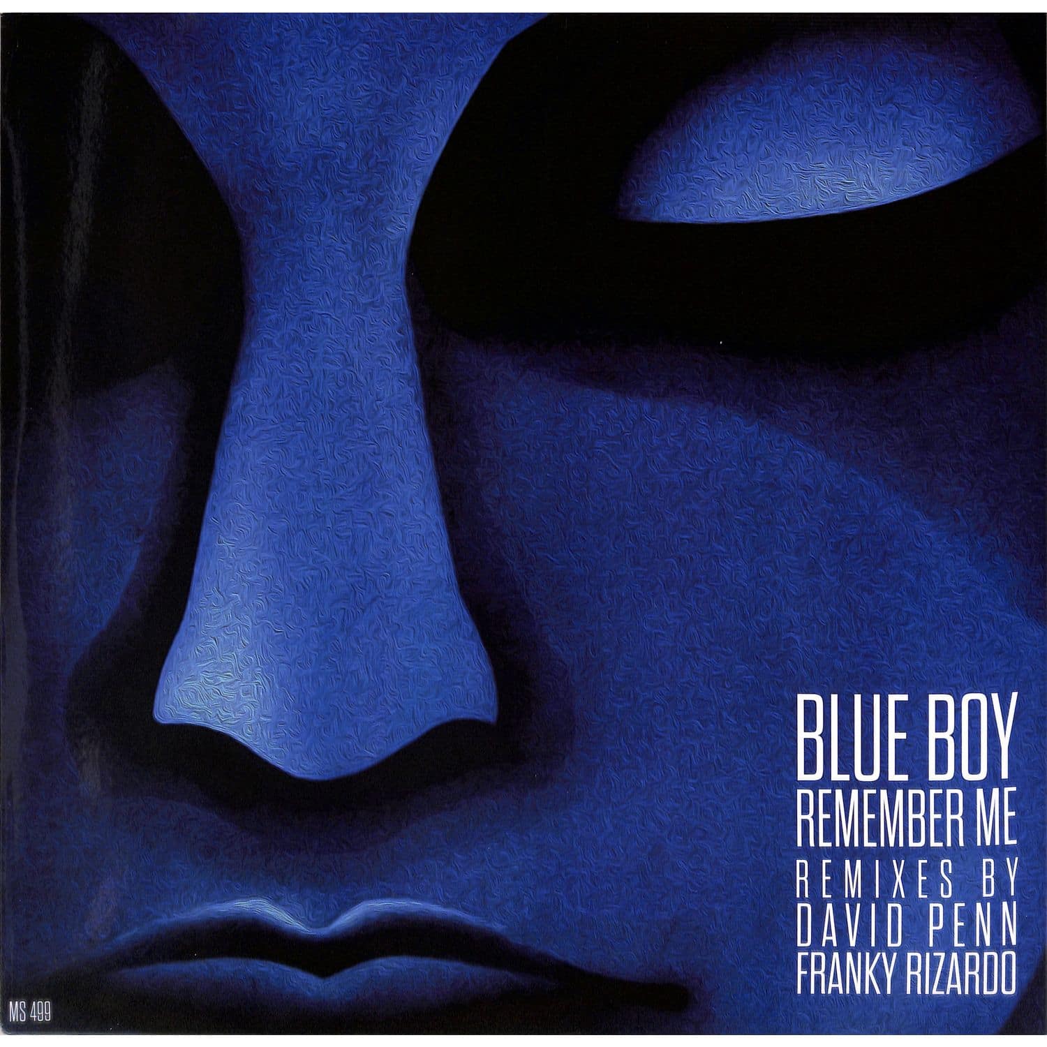 Blue Boy - REMEMBER ME 