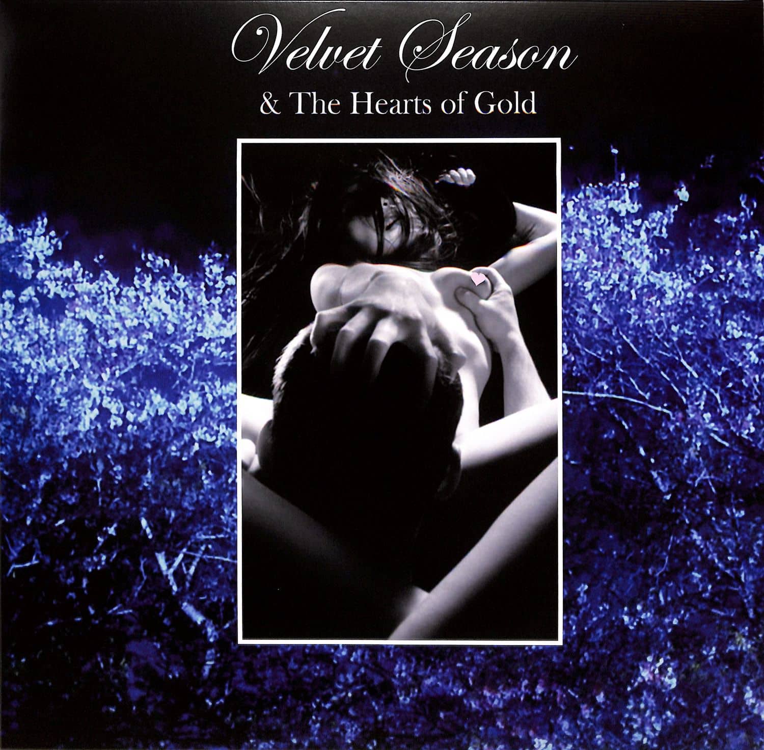 Velvet Season The Hearts Of Gold - VOICES / HAVING FUN