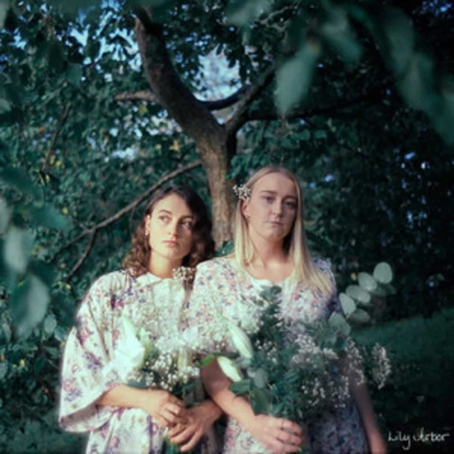  Lily Arbor - LILY ARBOR 