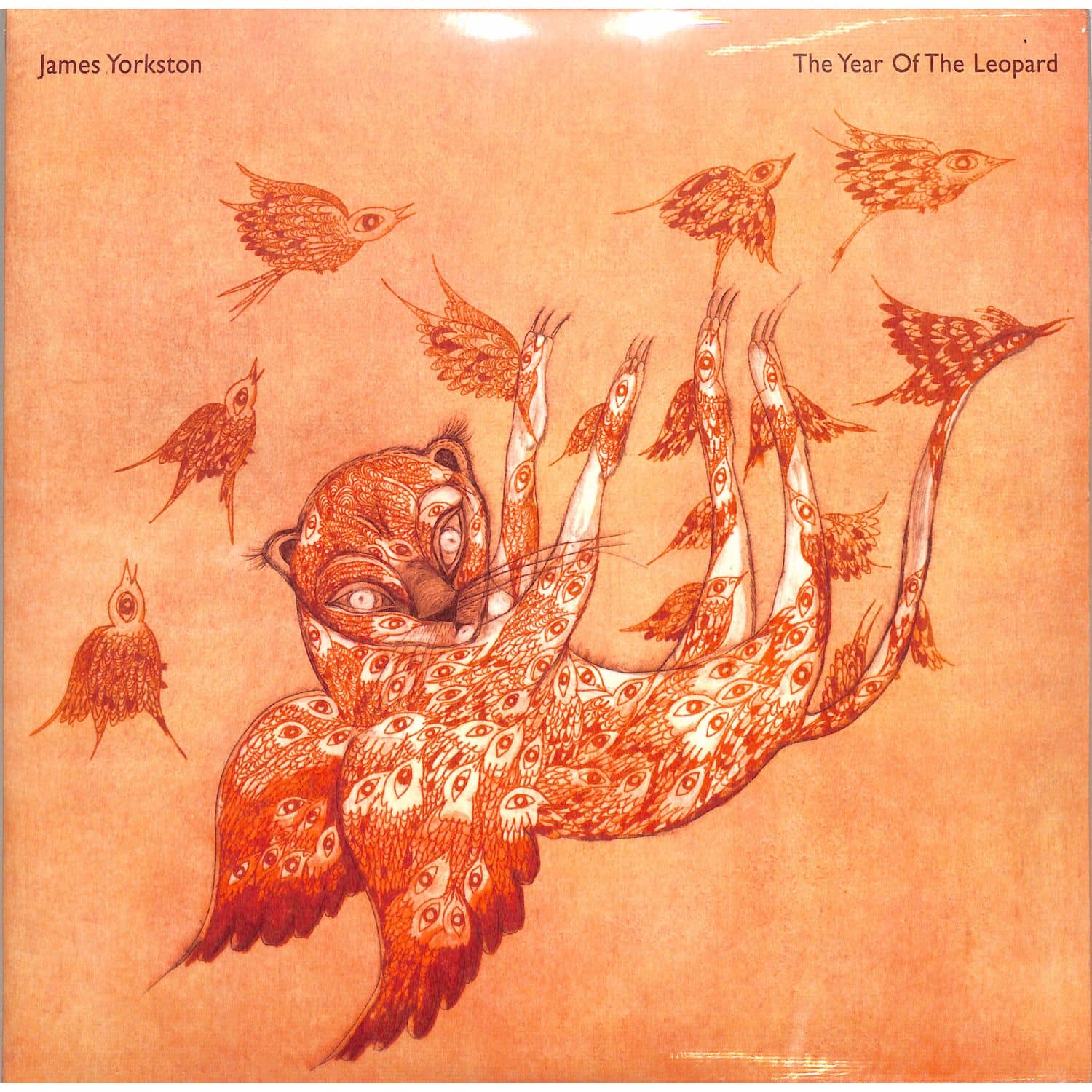  James Yorkston - THE YEAR OF THE LEOPARD 