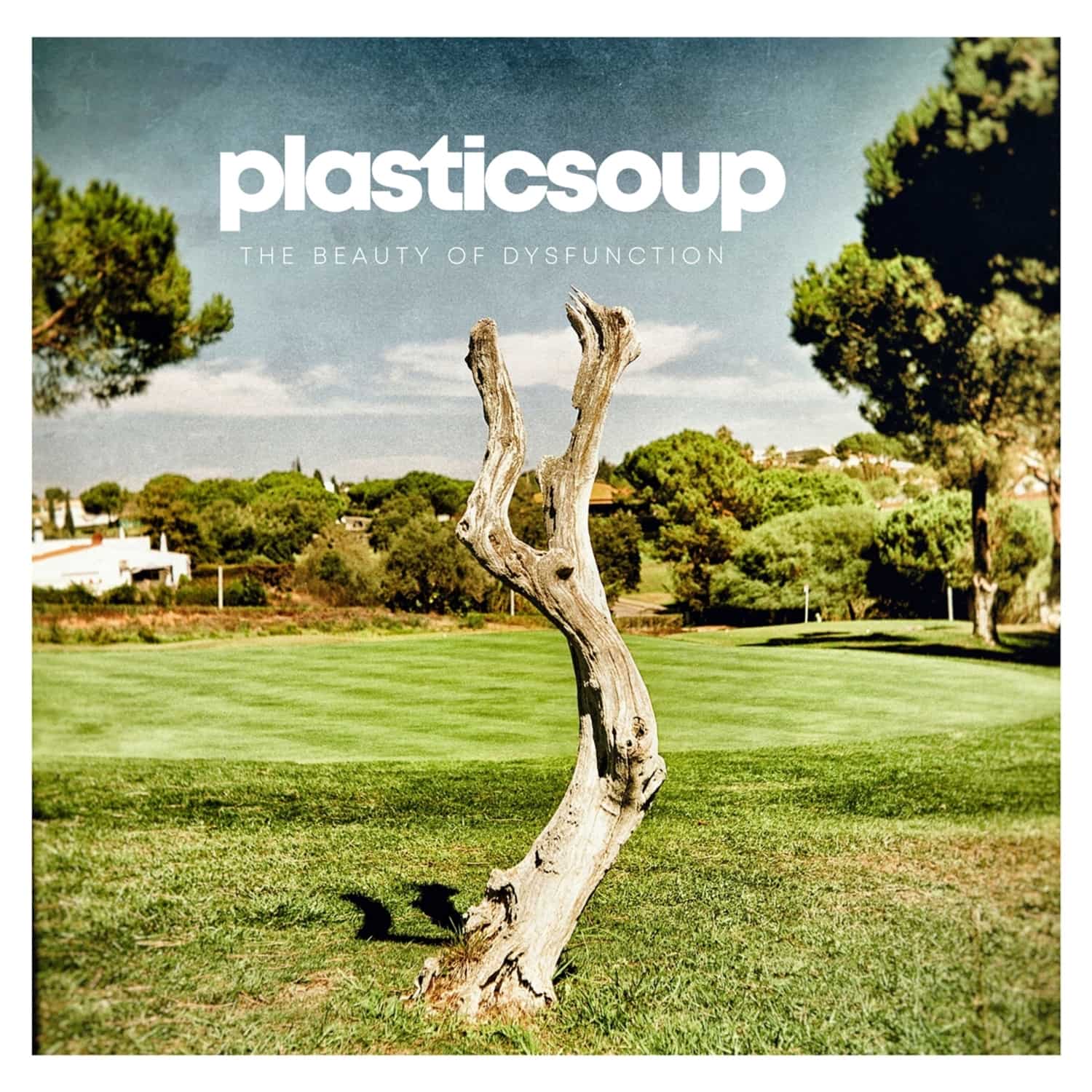 Plasticsoup - THE BEAUTY OF DYSFUNCTION 