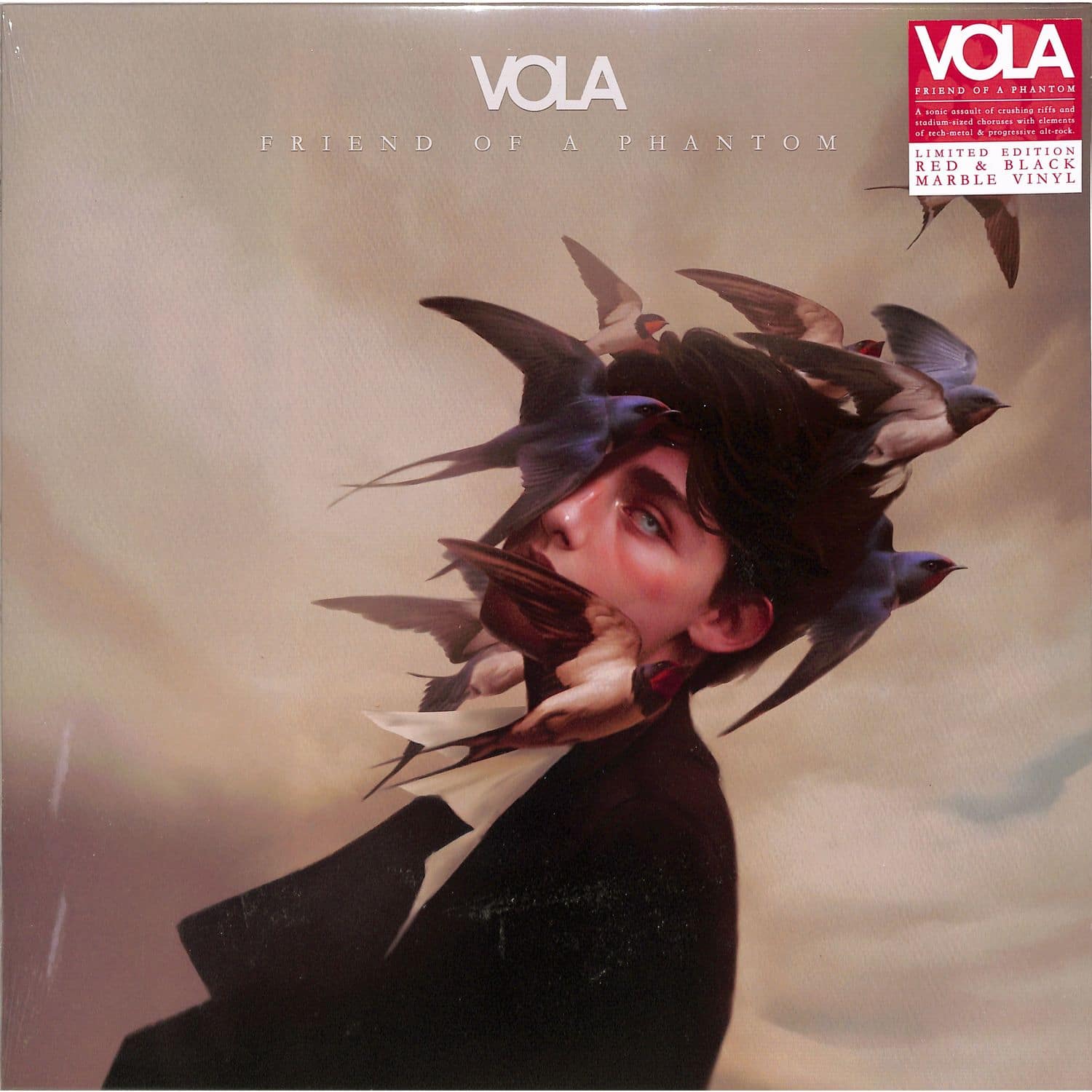 Vola - FRIEND OF A PHANTOM 