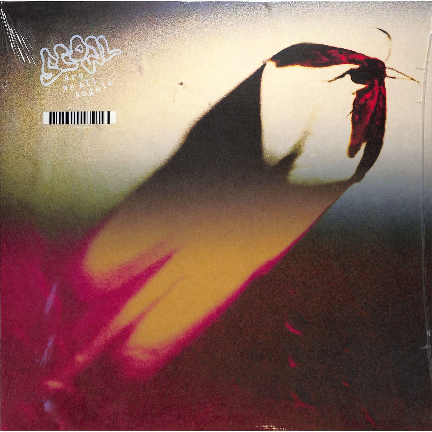 Scowl - ARE WE ALL ANGELS 