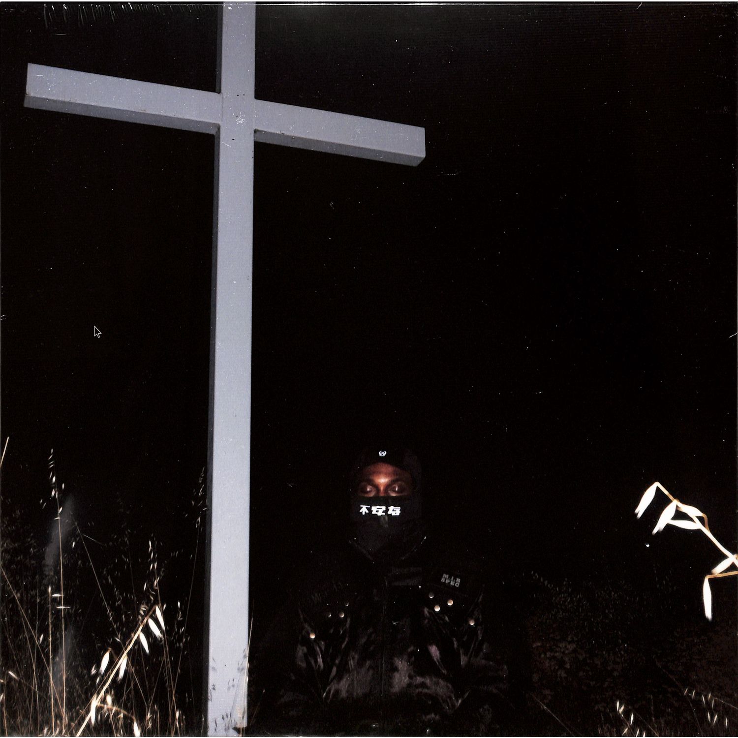 Jpegmafia - I LAY DOWN MY LIFE FOR YOU 