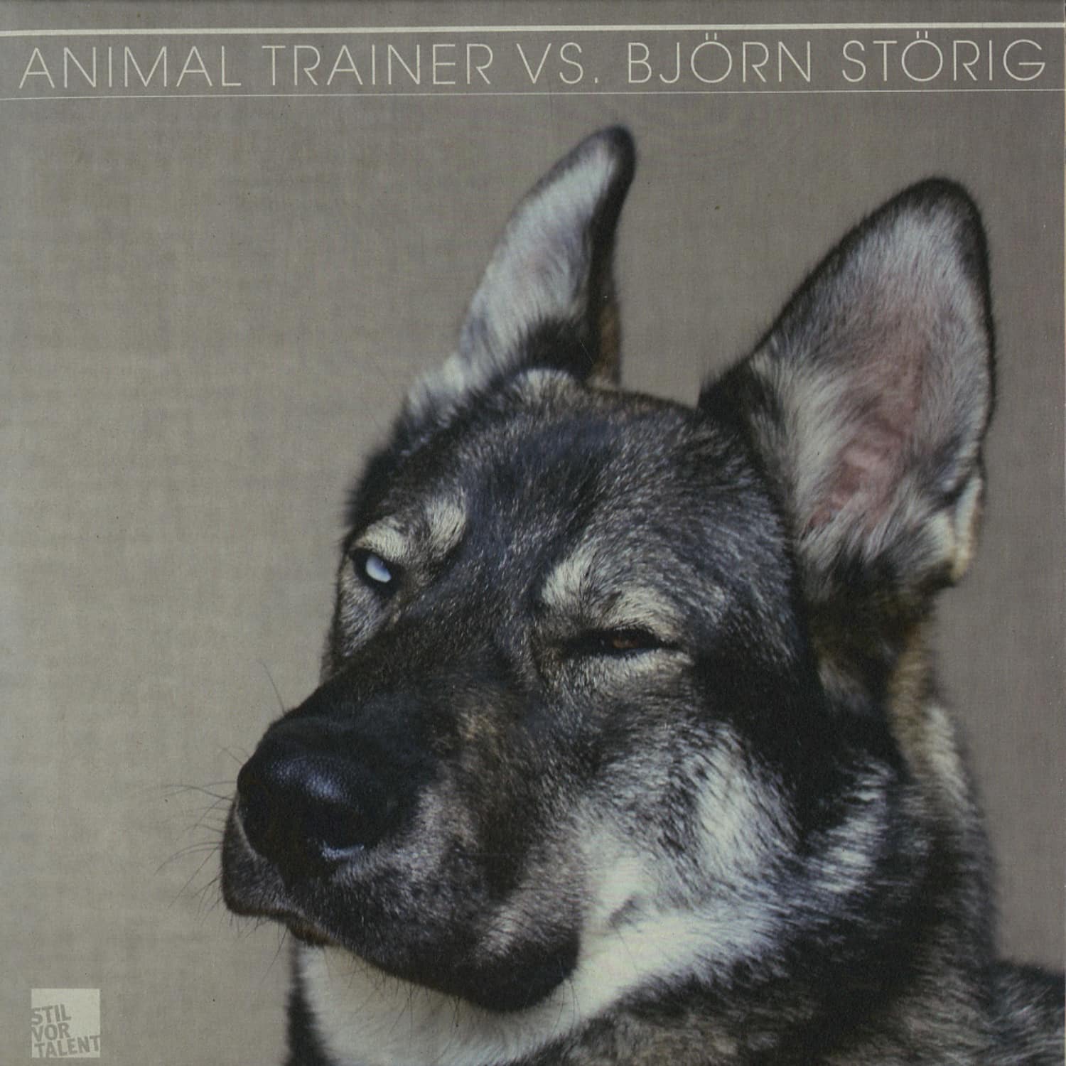 Animal Trainer / Bjoern Stoerig - ANIMAL TRAINER VS BJOERN STOERIG