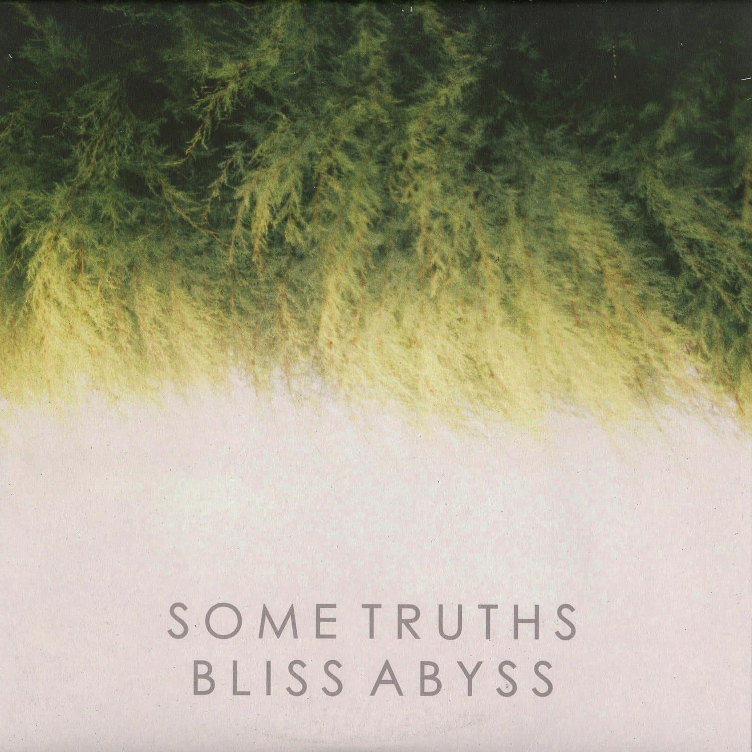 Some Truth aka Bass Clef - BLISS ABYSS 