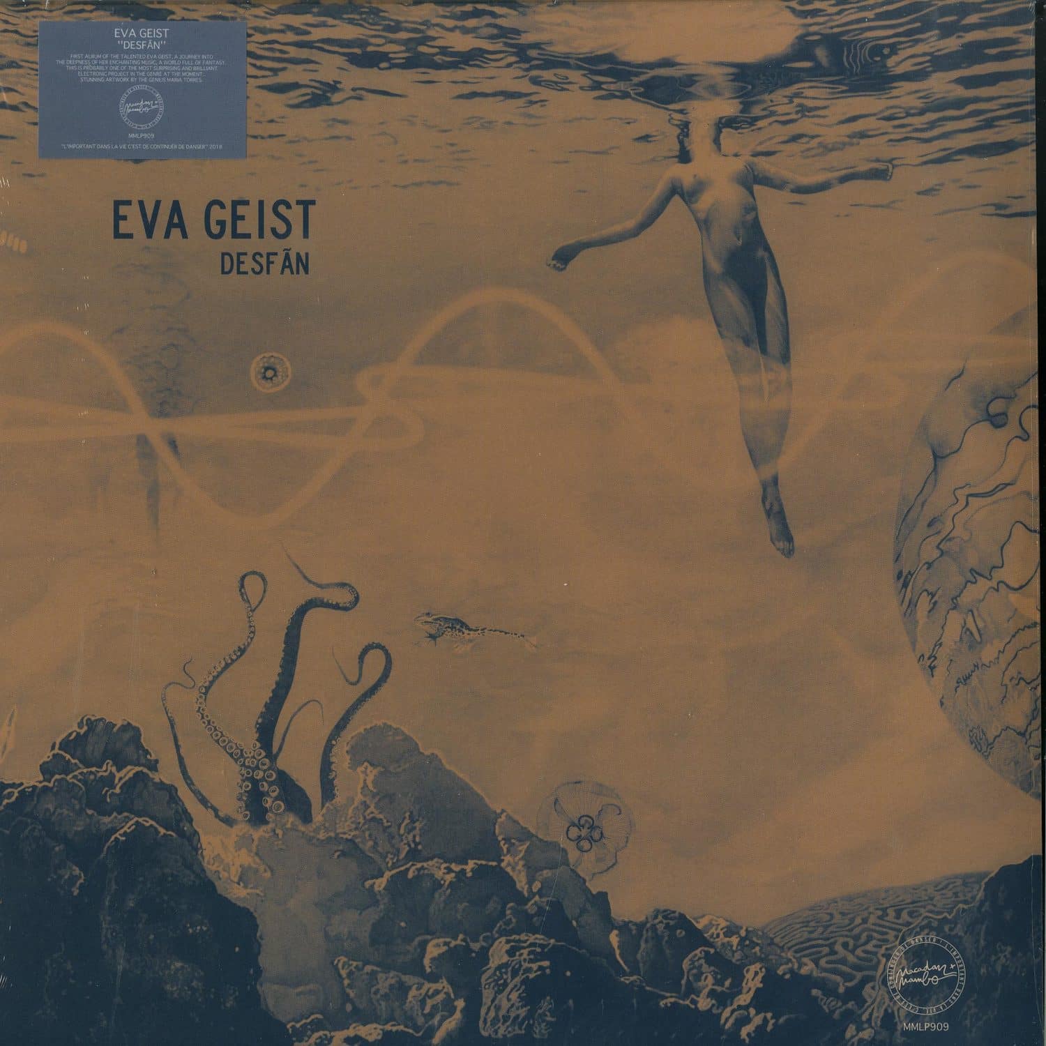 Eva Geist - DESFAN 