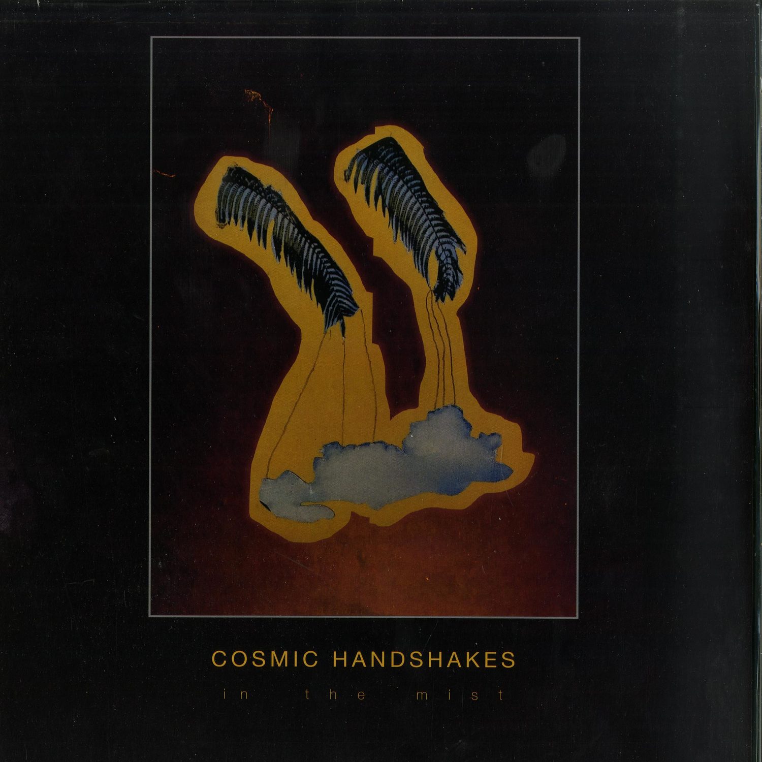 Cosmic Handshakes - IN THE MIST
