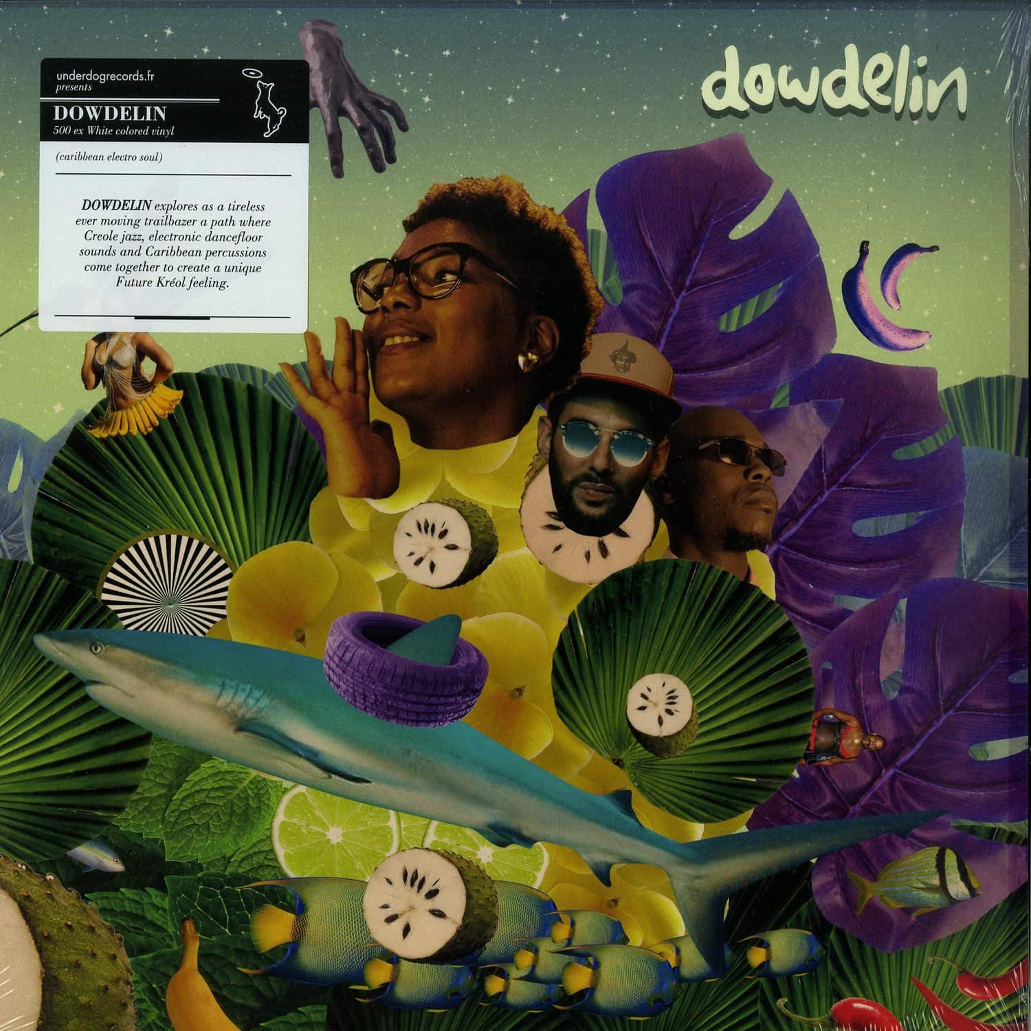 Dowdelin - CARNAVAL ODYSSEY 