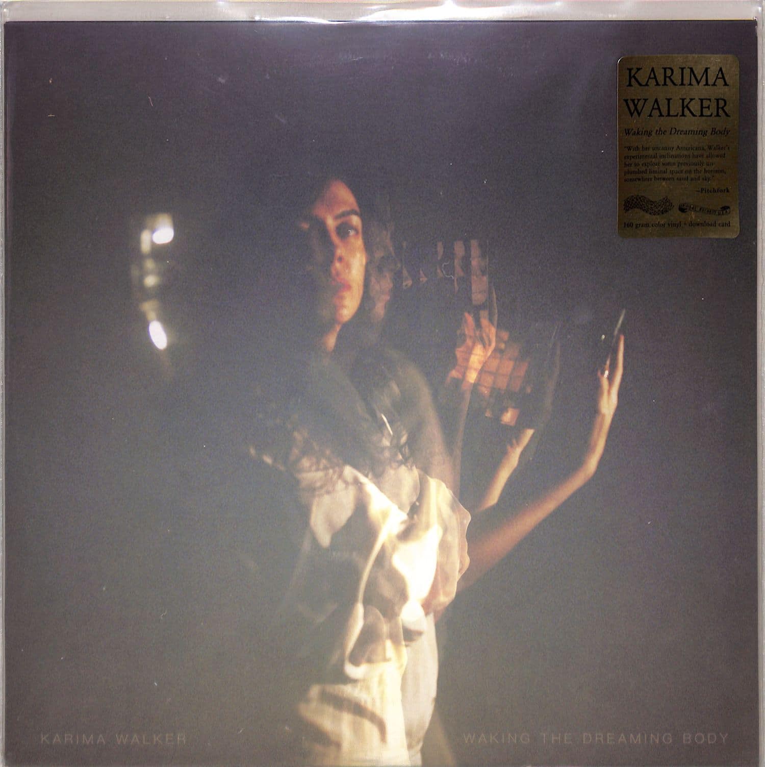 Karima Walker - WAKING THE DREAMING BODY 