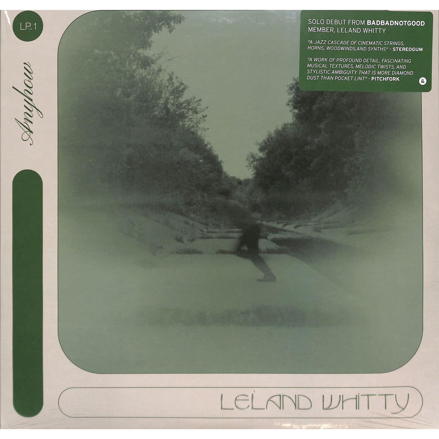 Leland Whitty - ANYHOW 
