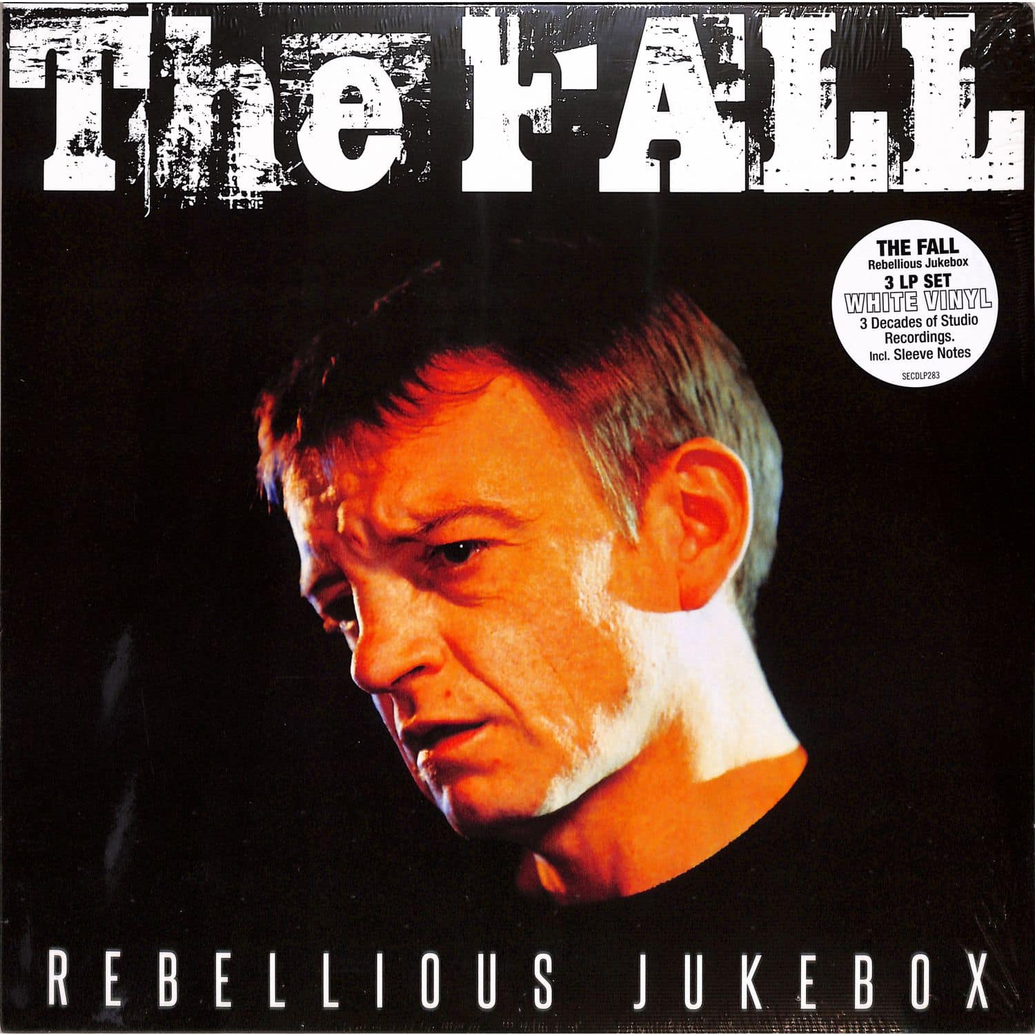 Fall - REBELLIOUS JUKEBOX 