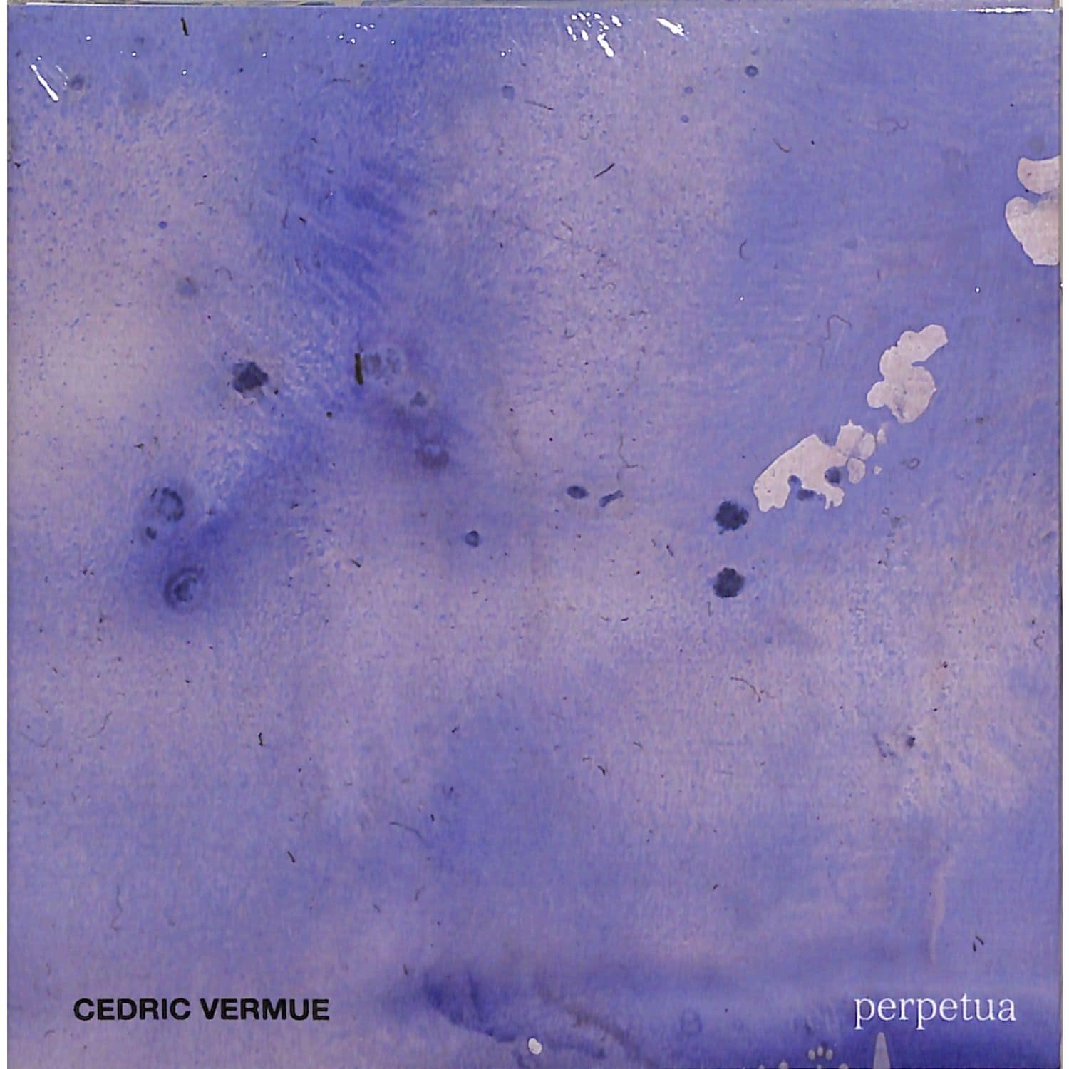 Cedric Vermue - PERPETUA 