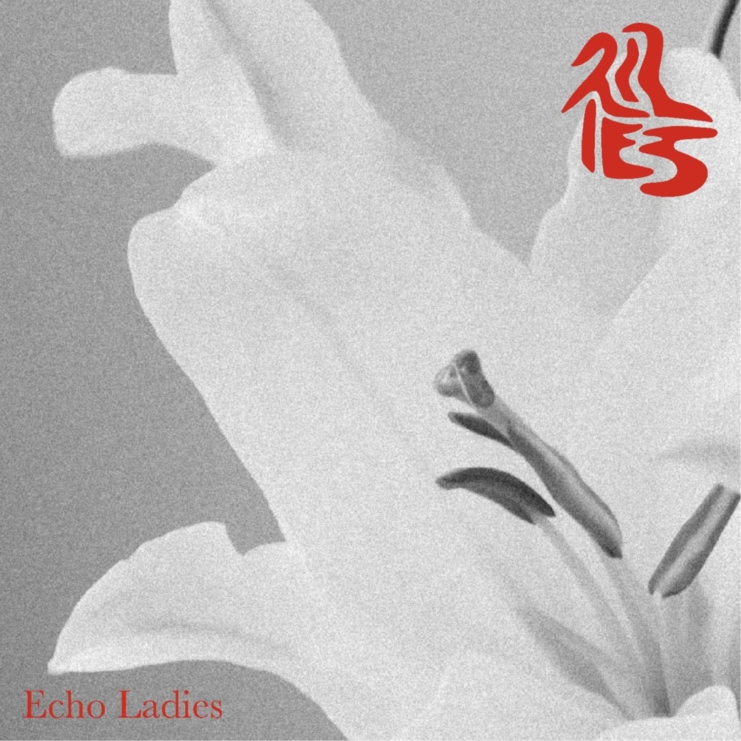 Echo Ladies - LILIES 