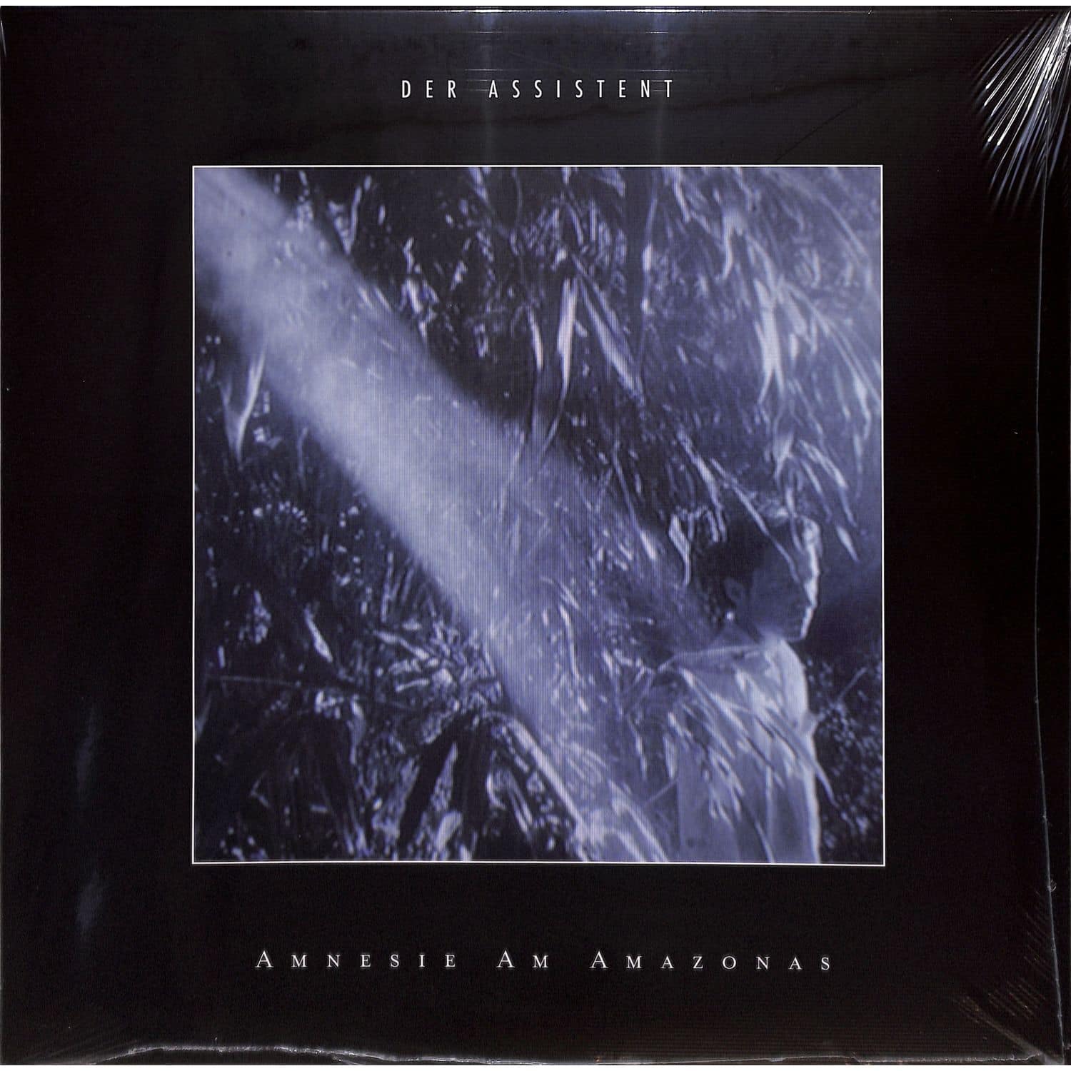 Der Assistent - AMNESIE AM AMAZONAS 