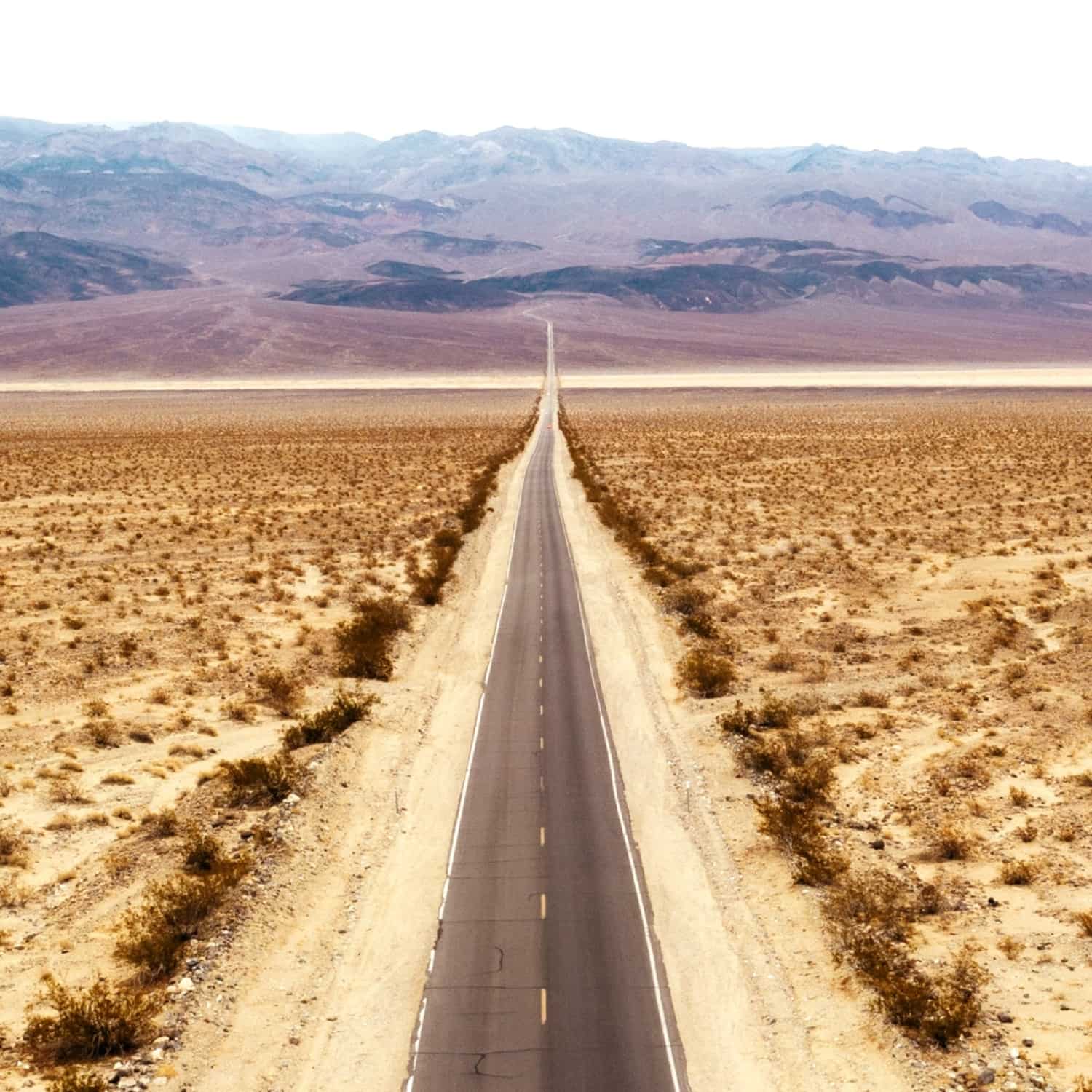 Tuomo & Markus & Verneri Pohjola - MUSIC FOR ROADS