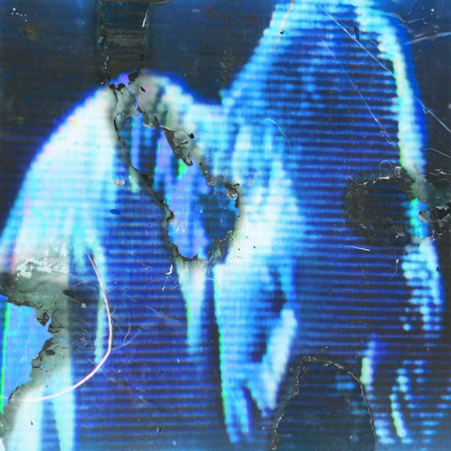 Buzz Kull - FASCINATION 